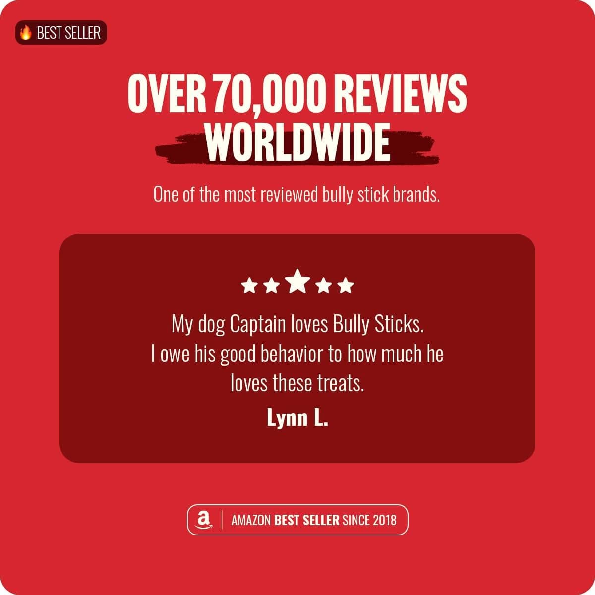 Natural Farm Odor-Free Bully Sticks (6 Inch, 25 count),1.3 lb. Bag, Fully Digestible 100% Beef Pizzle Chews,Grass-Fed, Non-GMO,Grain-Free, Natural Long-Lasting Chews for Small & Large Dogs. Pack of 25 6-inch 25 Count (Pack of 1) - Image 7