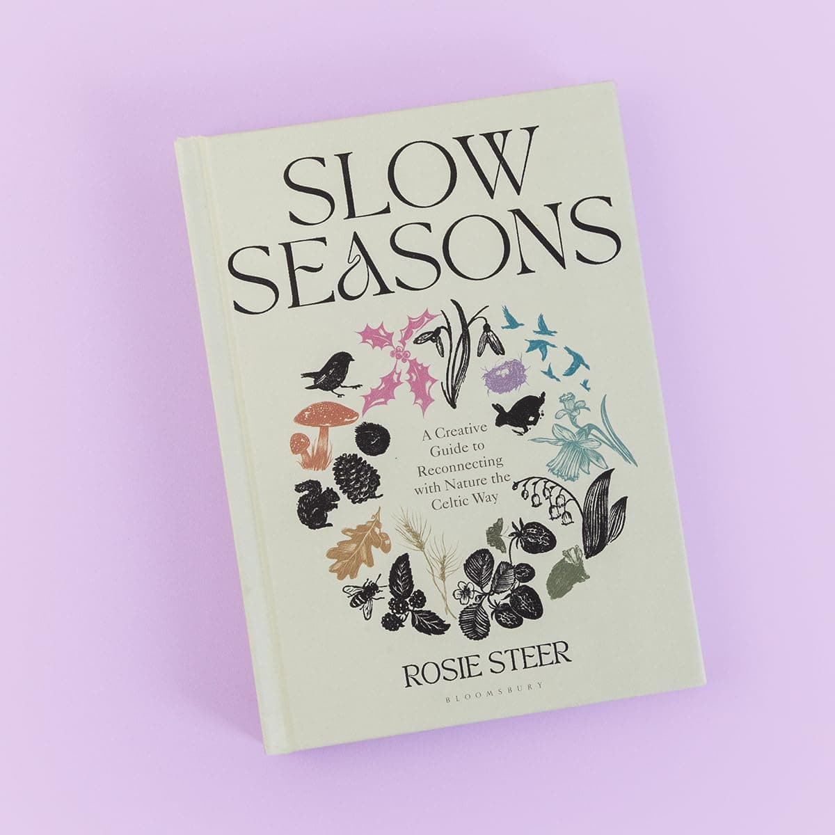 Slow Seasons: A Creative Guide to Reconnecting with Nature the Celtic Way: Steer, Rosie: 9781526662729: Amazon.com: Books - Image 7