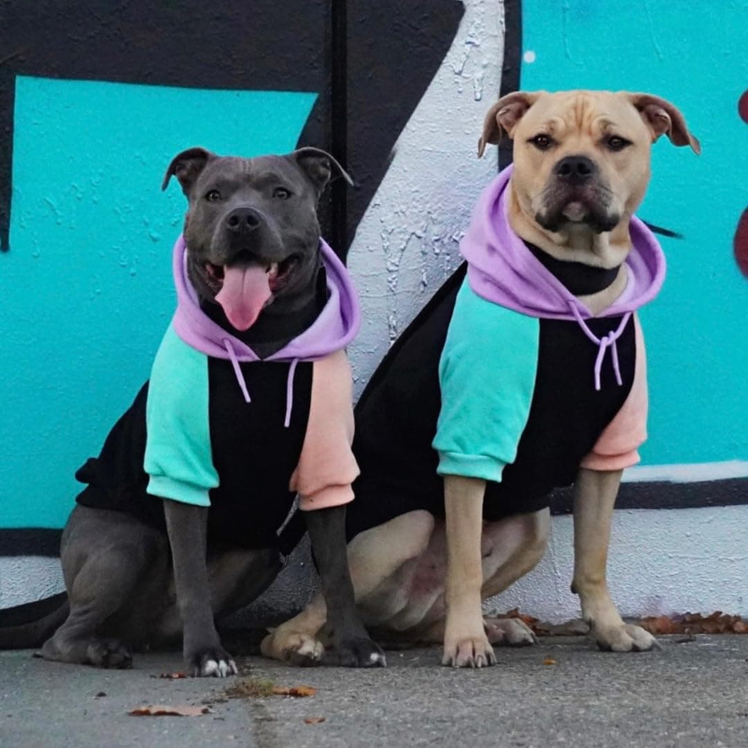 Spark Paws Dog Hoodie – Premium Dog Sweater for Small, Medium, and Large Dogs | Warm Outfits for French Bulldogs, Pitbull, Puppy, Winter Jacket Alternative - Cyber Punk - 3XL Cyber Punk 3XL: 60-80lbs - Image 3