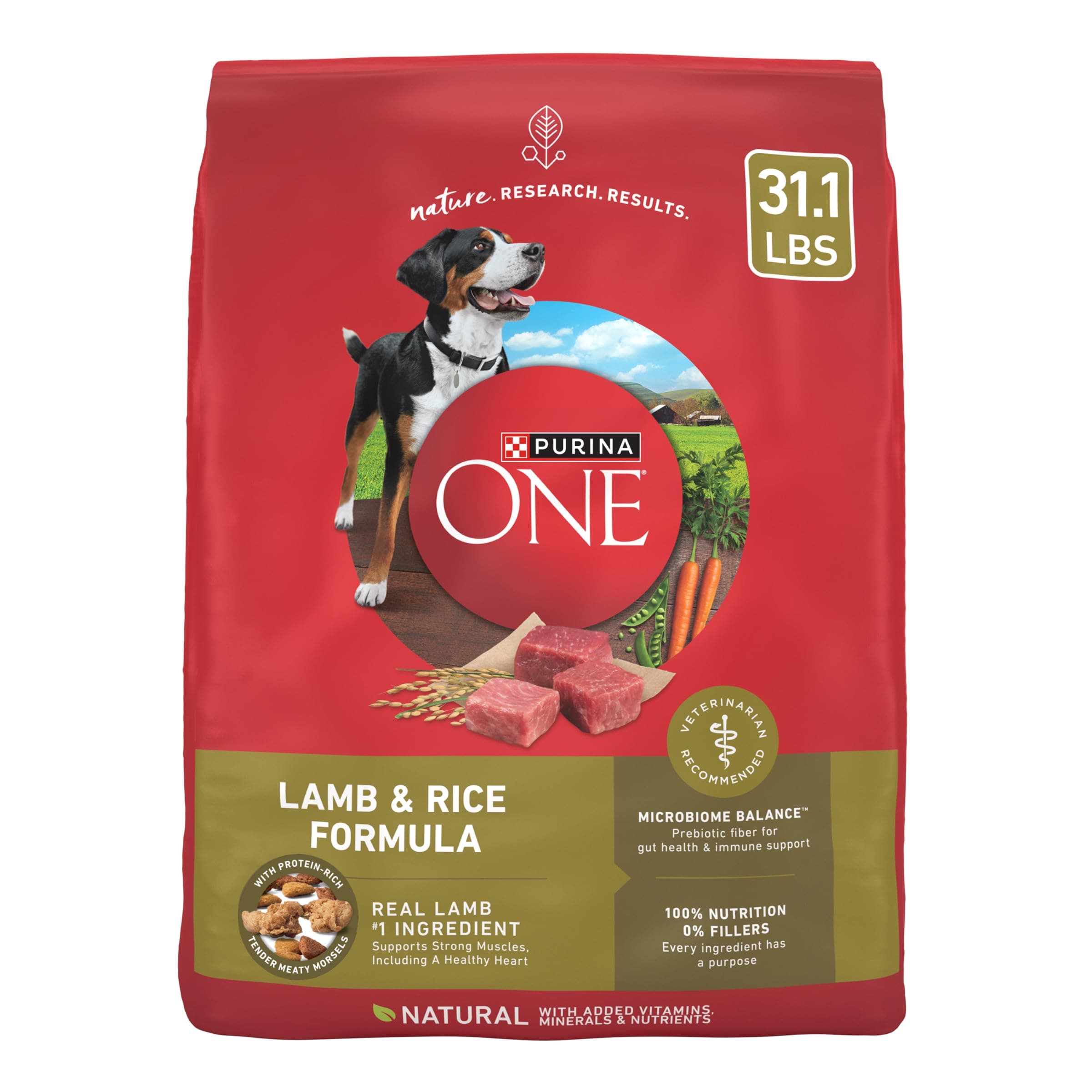 Purina ONE Dry Dog Food Lamb and Rice Formula - 31.1 lb. Bag Lamb & Rice 31.1 Pound (Pack of 1)