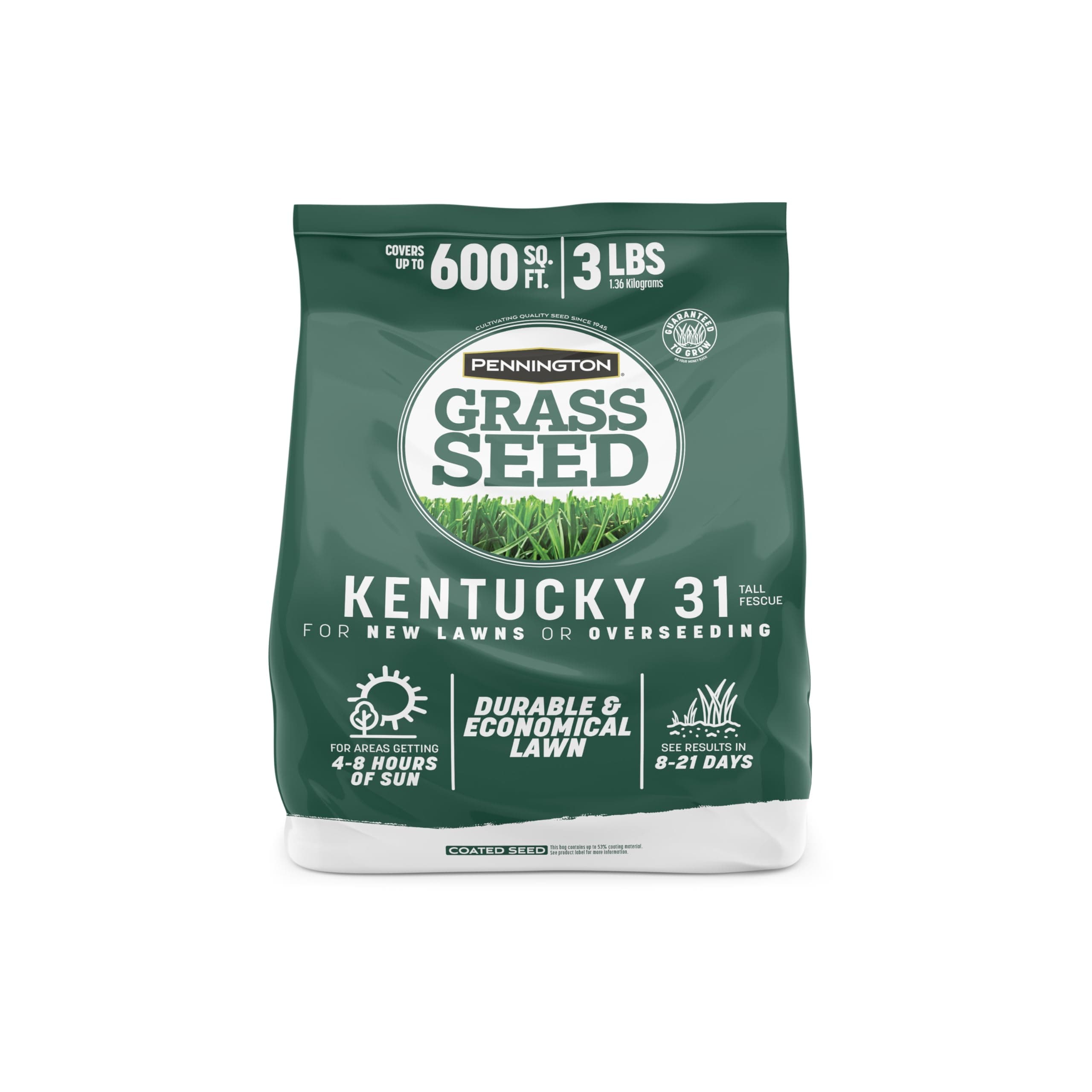 Pennington Kentucky 31 Tall Fescue Penkoted Grass Seed 3 lb