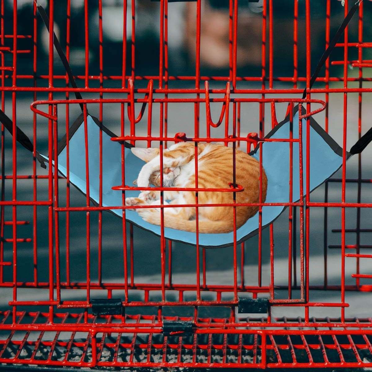 Cat Hammock for Cage Hanging ，Summer Breathable Coolness Oxford Cat Hammock Bed，with Straps and Metal Hooks Bed for Cats Small Dogs Rabbits - Image 7