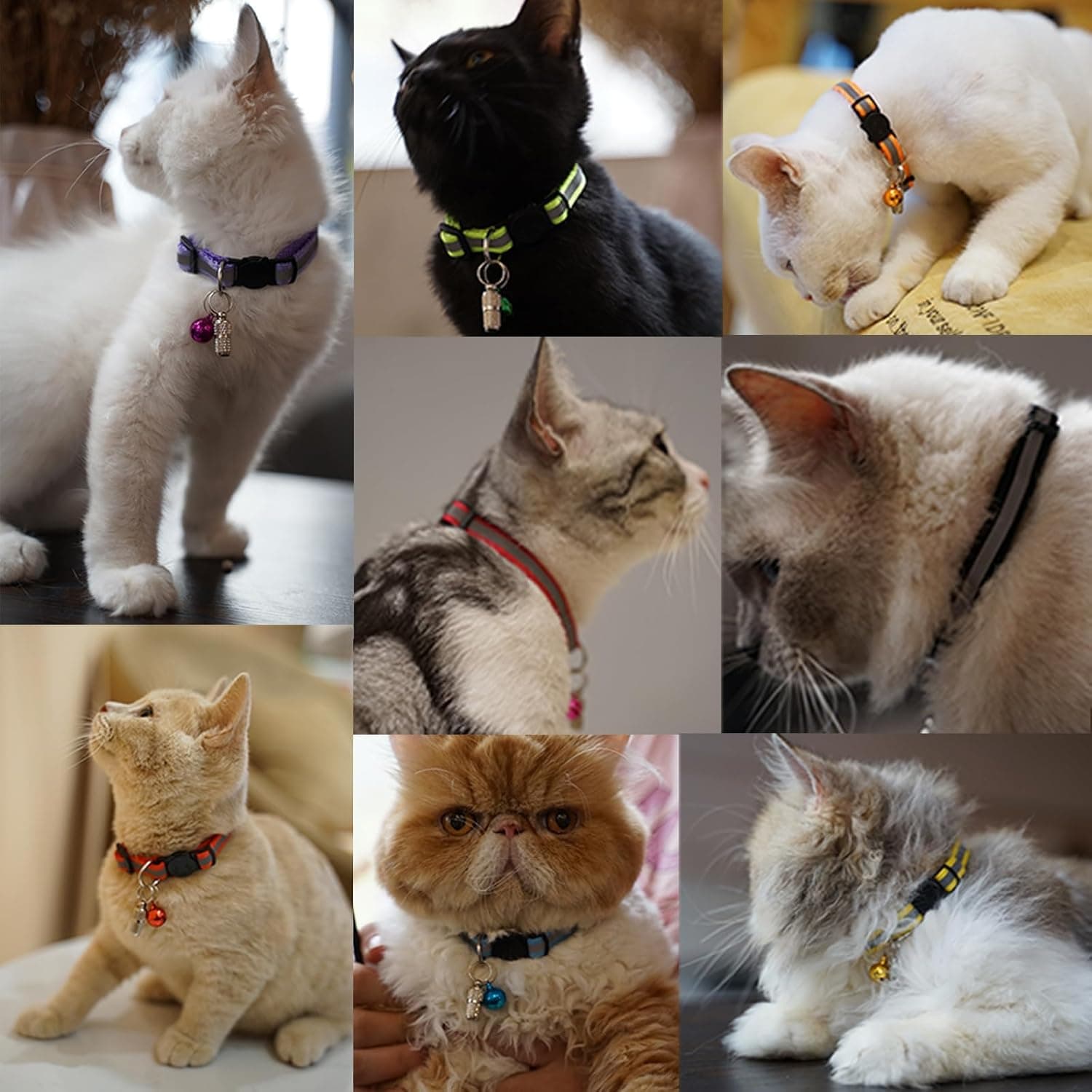 12 Pack Reflective-Breakaway Cat Collars with Bells,Safety Buckle Kitten Collar, with Name Tag, Adjustable,Ideal for Girl Cats Male Cats,Pet Supplies,Stuff,Accessories(12 Colors & 2 ID Tags) Adult Cat 7.5''-12.5'' (with 2 ID Tags) - Image 8