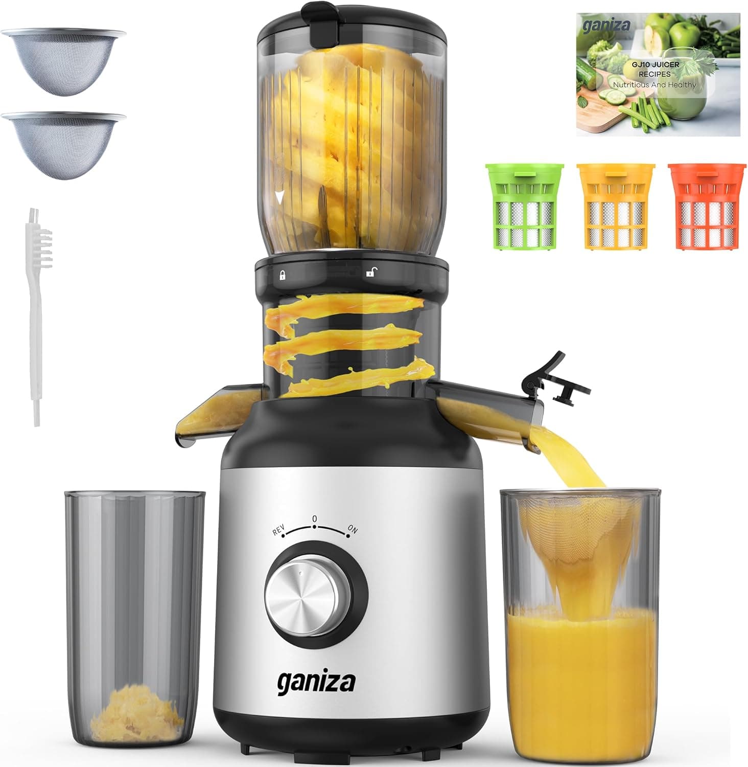 Ganiza Juicer Machines, Slow Masticating Juicers with Large Feed Chute for Whole Fruits & Vegetables, Cold Press Juicer with 3 Replace Filters for Batch Juicing, Easy to Clean, BPA Free(Silver) Black Silver - Image 2