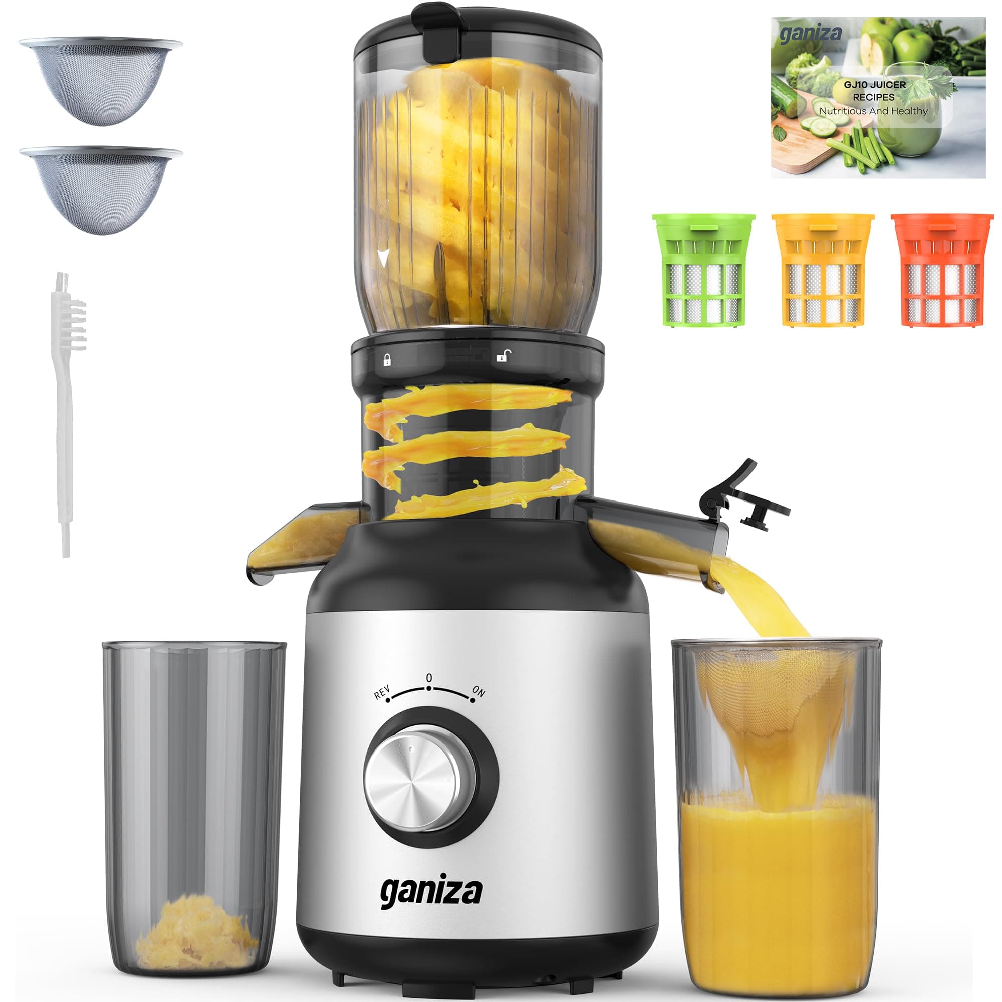 Ganiza Juicer Machines, Slow Masticating Juicers with Large Feed Chute for Whole Fruits & Vegetables, Cold Press Juicer with 3 Replace Filters for Batch Juicing, Easy to Clean, BPA Free(Silver) Black Silver