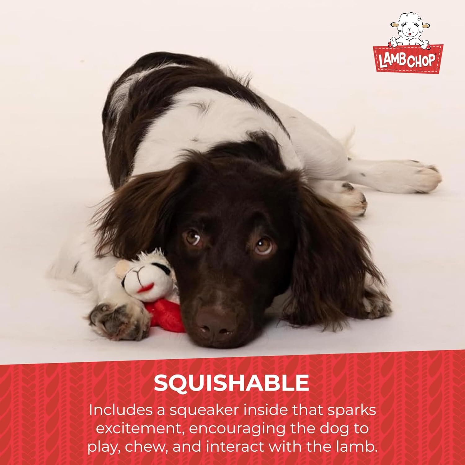 Multipet Lamb Chop Dog Plush Toy - Squeaky Toy for All Dogs - Extra Soft Plush - Stuffed Animal Dog Toy for Cuddling & Playing - Cute Pet Toy (6", Cream) White 6" - Image 6