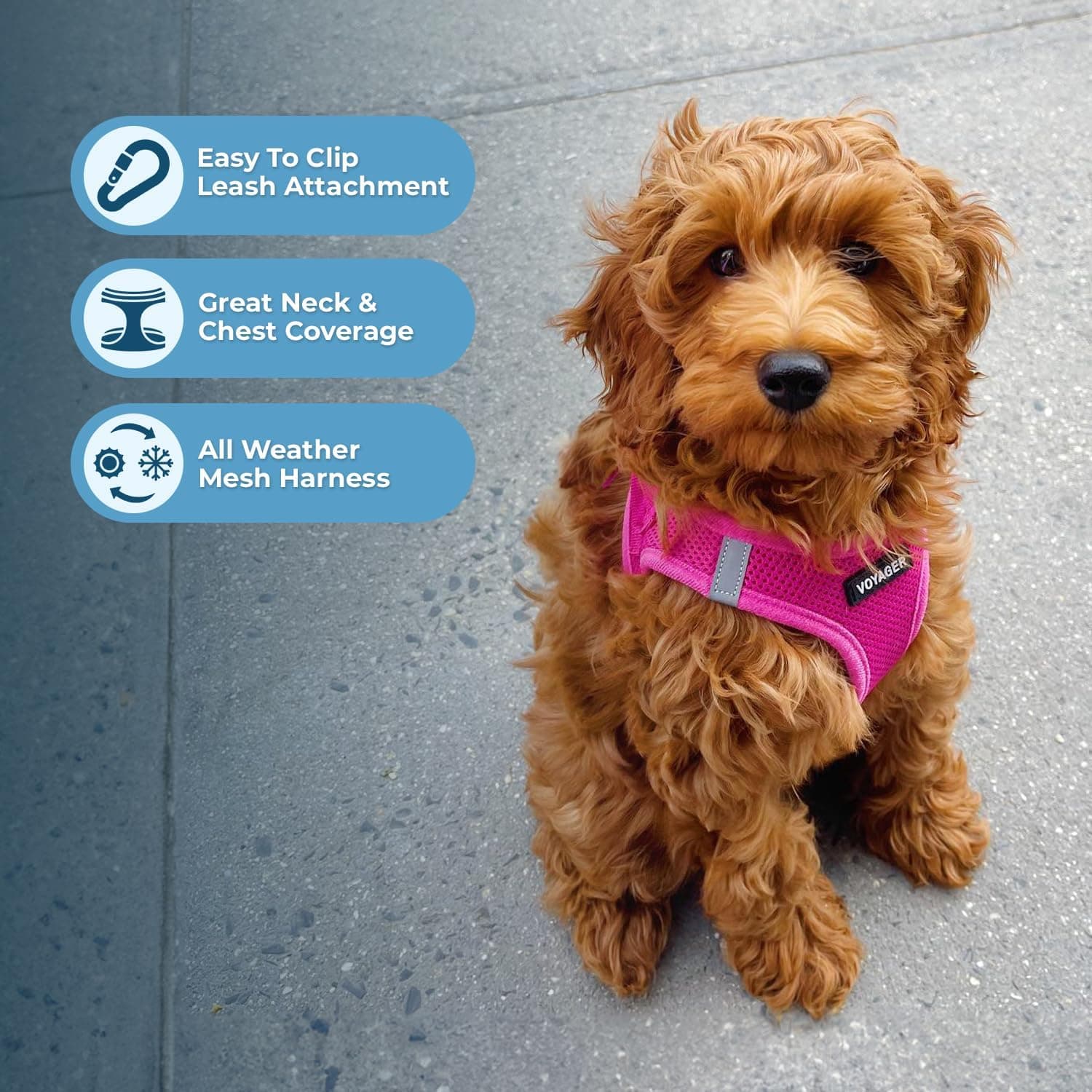 Best Pet Supplies Voyager Step-in Air Harness - All Weather Mesh, Reflective, No Pull Harness for Dogs, Cats - Secure with Hook & Loop Fastener, Buckle, Double D-Rings - Fuchsia, M M (Chest: 16 - 18") Harness (Fuchsia) - Image 4