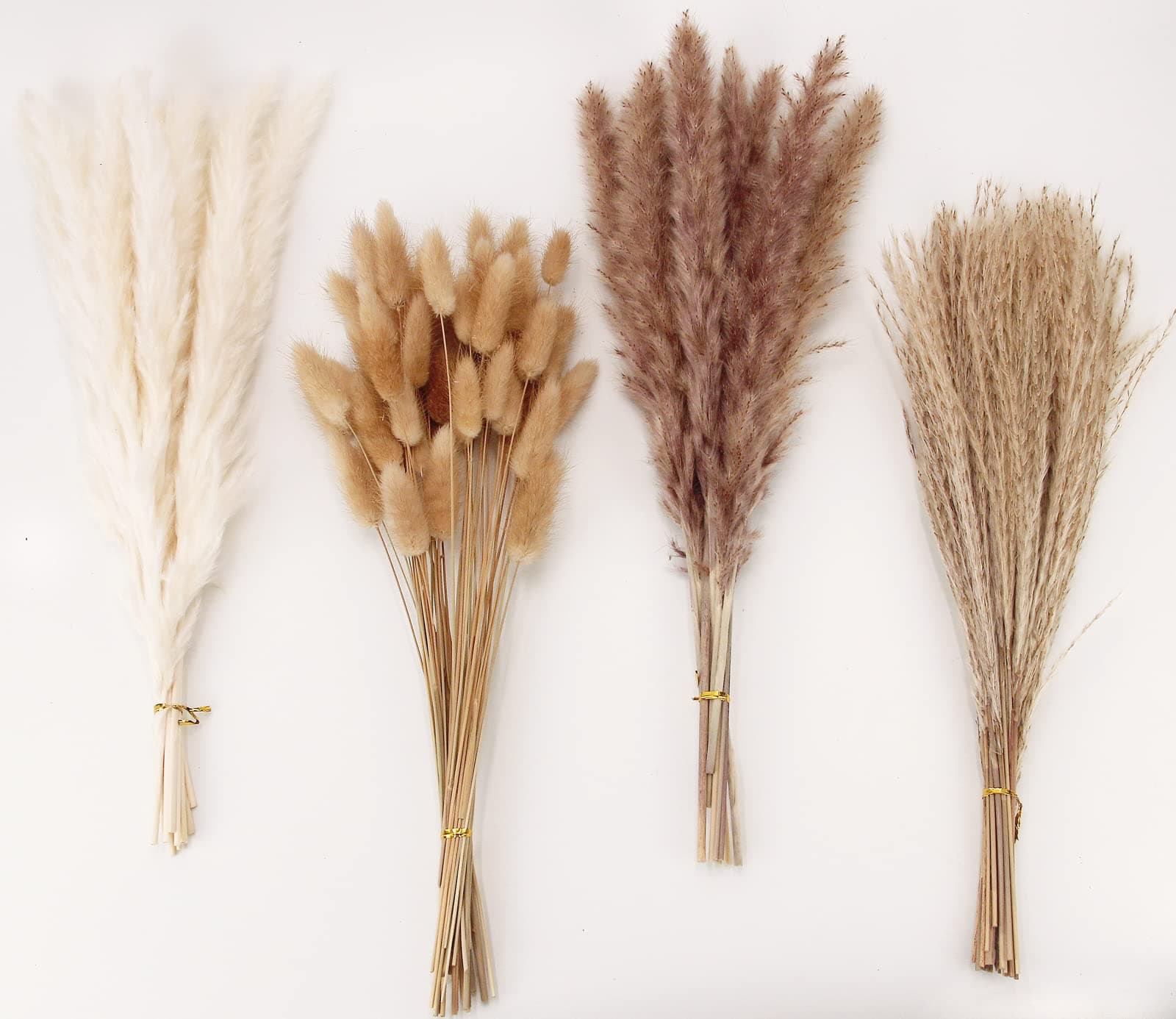 Pinatuyong Pampas Grass Decor, 100 Stems Pampas Grass na May Kasamang Bunny Tails na Pinatuyong Bulaklak, Reed Grass Bouquet para sa Kasal Boho Bulaklak Home Table Decor, Rustic Farmhouse Party (17", Puti at Kayumanggi) 100PCS