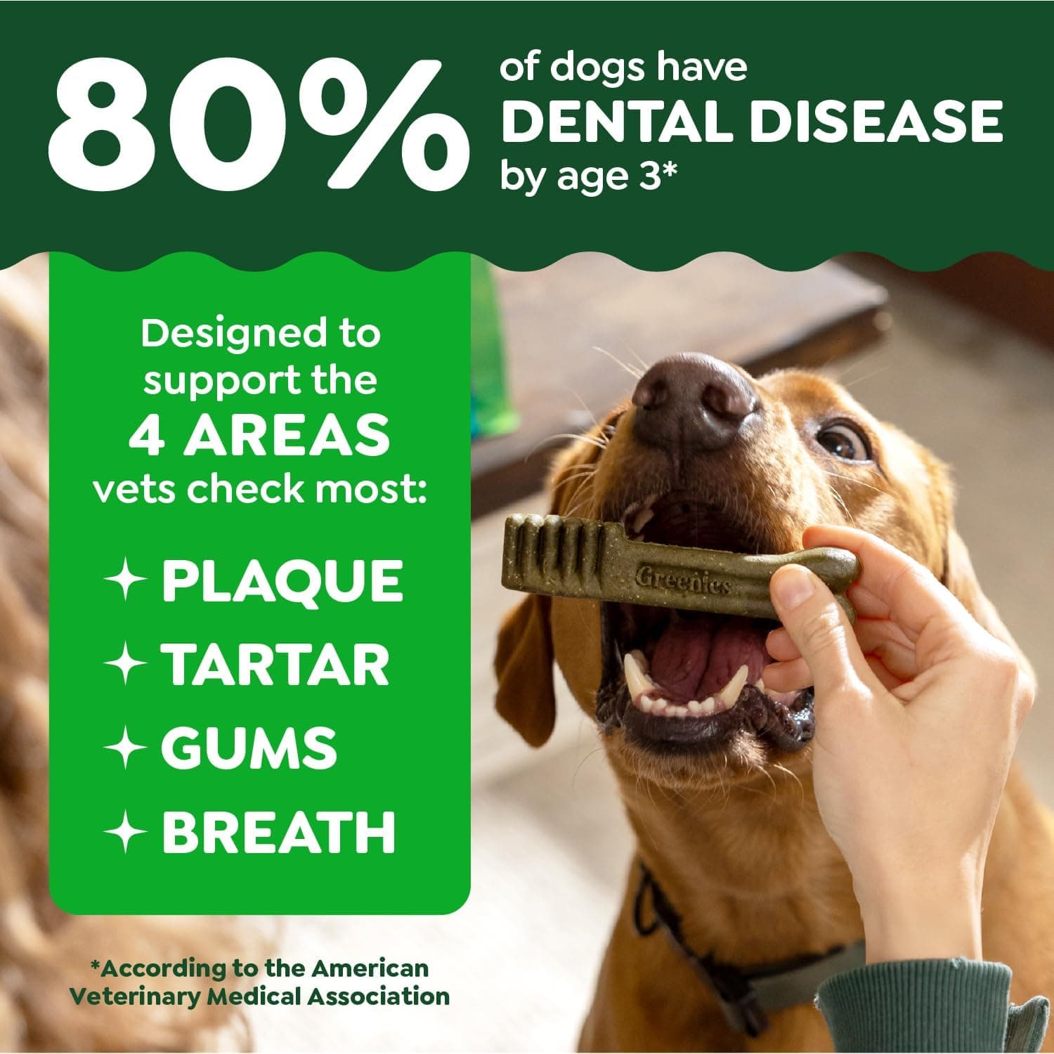 Greenies Veterinarian-Recommended Adult Natural Dental Dog Treats Regular Size, Original Flavor, 36 oz. Pack, 36 Count Original 36 Count (Pack of 1) - Image 4