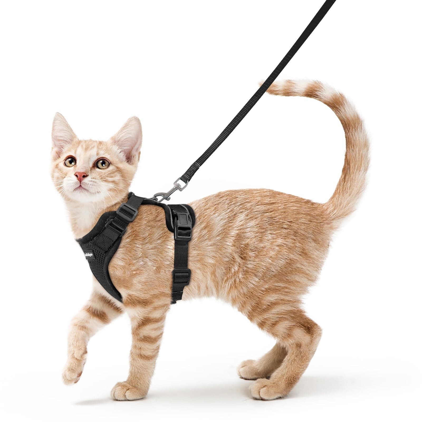 rabbitgoo Cat Harness and Leash for Walking, Escape Proof Soft Adjustable Vest Harnesses for Cats, Easy Control Breathable Reflective Strips Jacket, Black, XS XS Black