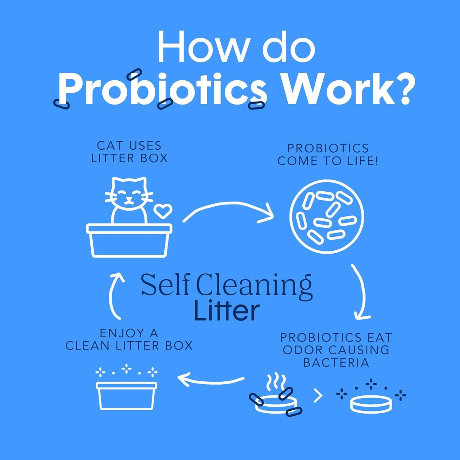 Boxie Probiotic Cat Litter, 40 Day Odor Control, Clumping Clay Kitty Litter, Odor Eliminating Probiotics, Dust-Free, No Fragrances No Fillers, 16 lb PRO 16 lb - Image 5