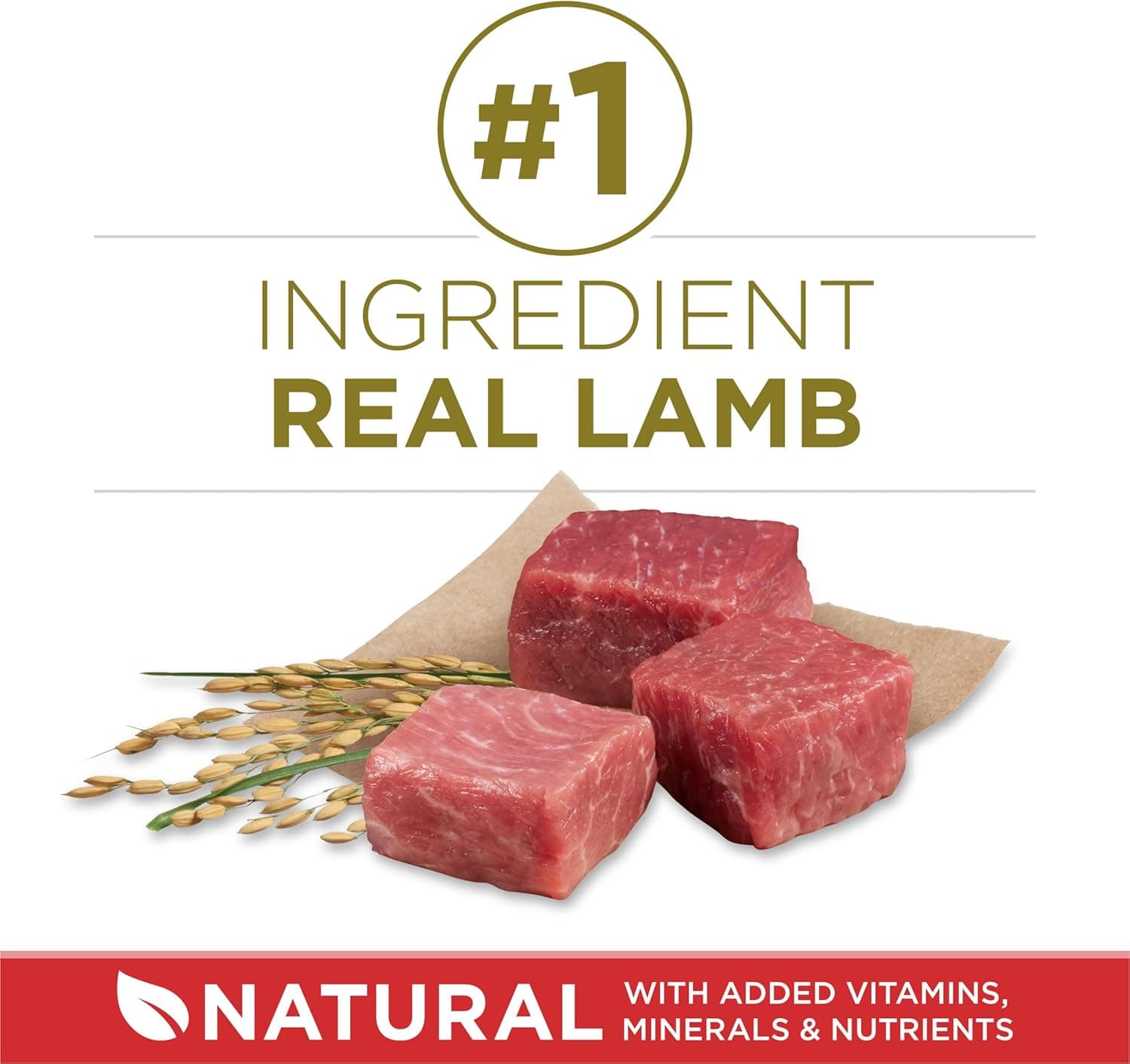 Purina ONE Dry Dog Food Lamb and Rice Formula - 31.1 lb. Bag Lamb & Rice 31.1 Pound (Pack of 1) - Image 4