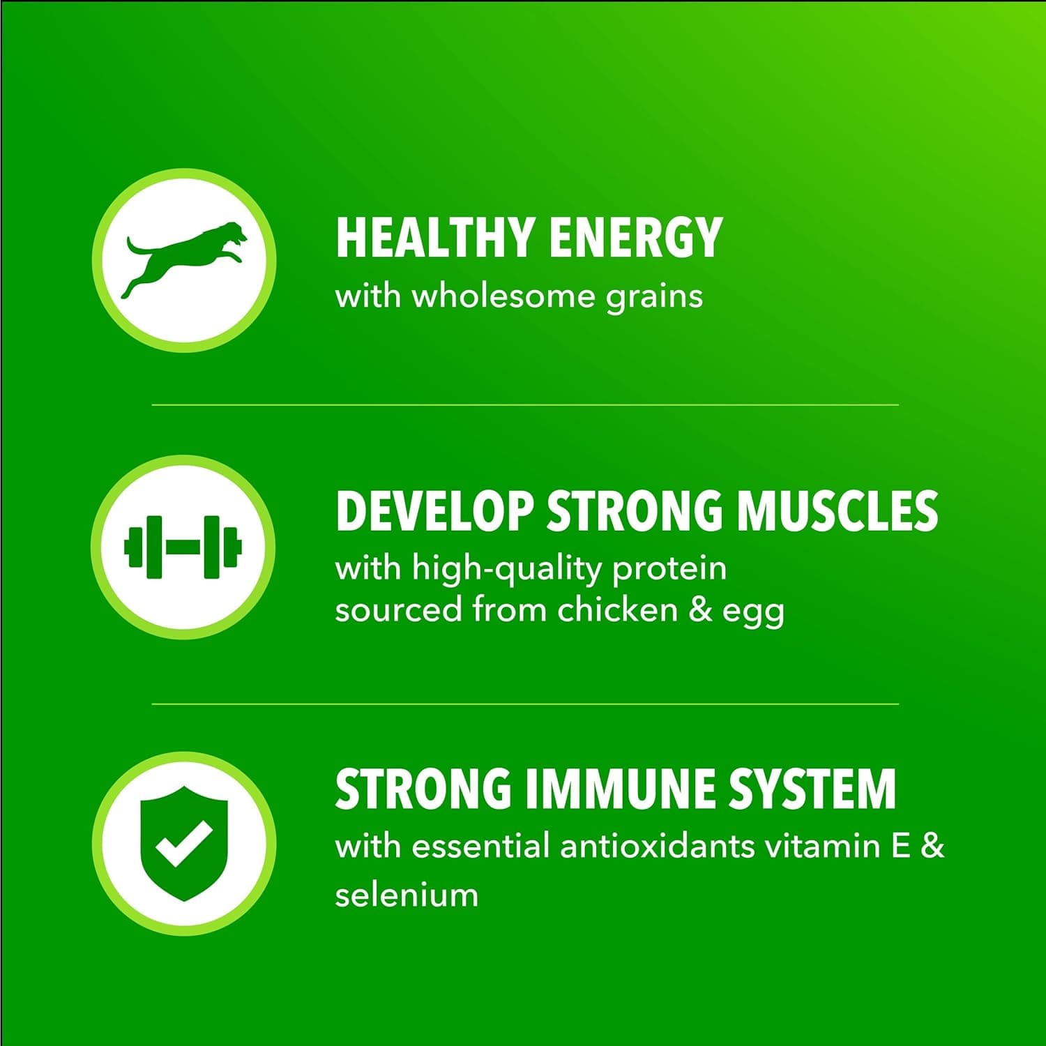 IAMS Proactive Health Adult Minichunks Comida Seca para Perros Pollo y Granos Enteros, Bolsa de 30 lb. Pollo 30 Libras (Paquete de 1) - Image 5