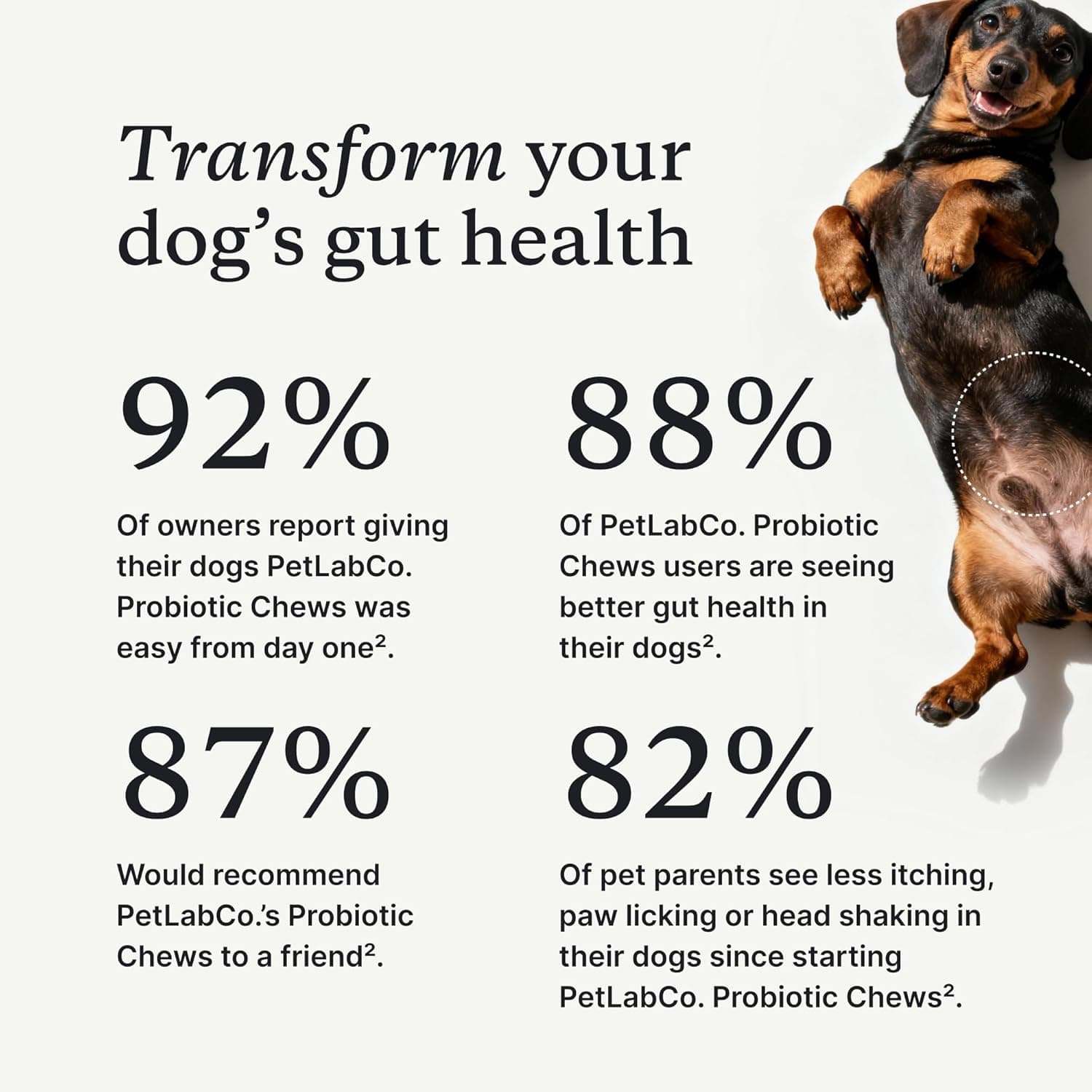 PetLab Co. Probiotics for Dogs, Support Gut Health, Occasional Diarrhea, Digestive Health & Seasonal Allergies - Pork Flavor - 30 Soft Chews - Packaging May Vary - Image 2