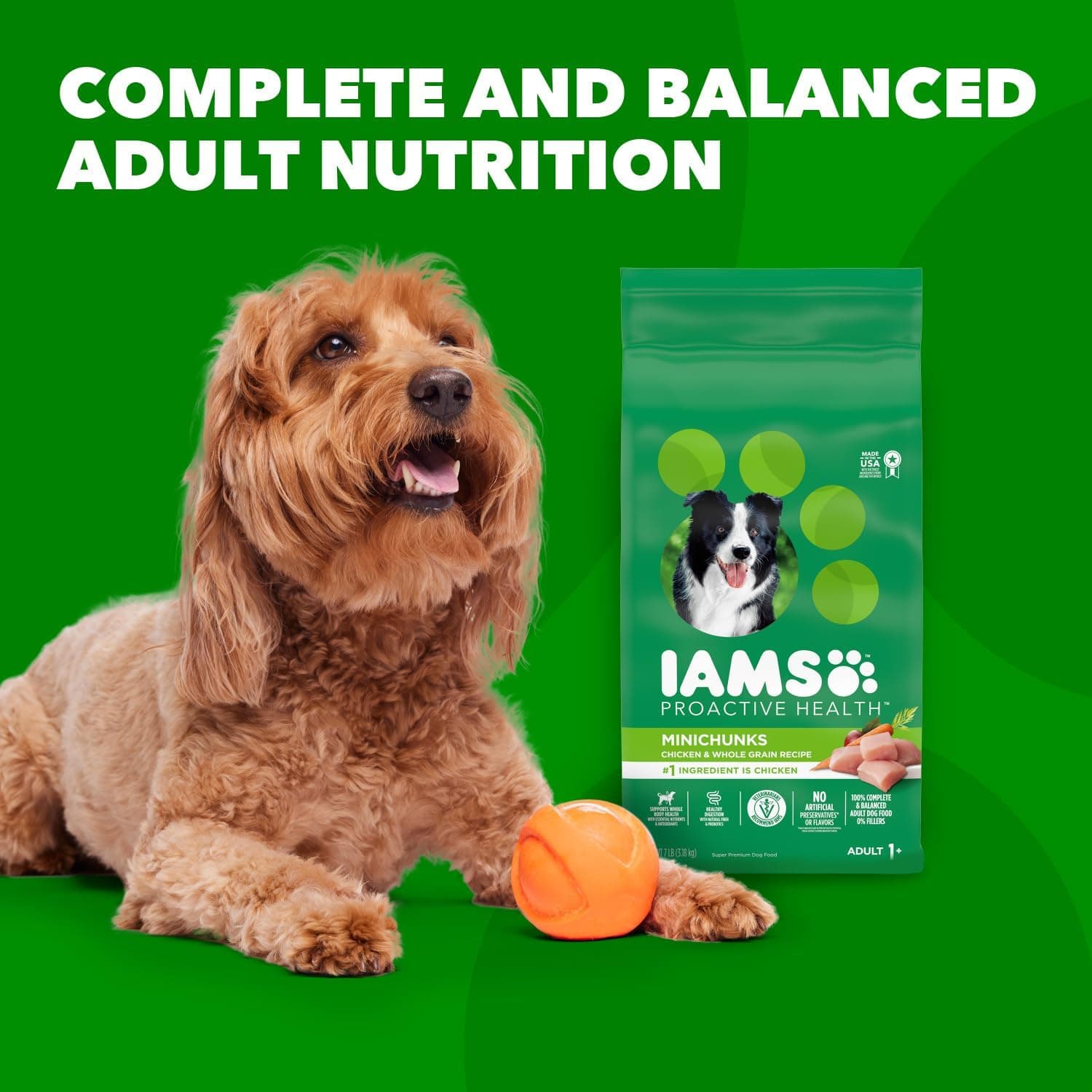 IAMS Proactive Health Minichunks Adult Dry Dog Food with Real Chicken, 30 lb. Bag Chicken 30 Pound (Pack of 1) - Image 12