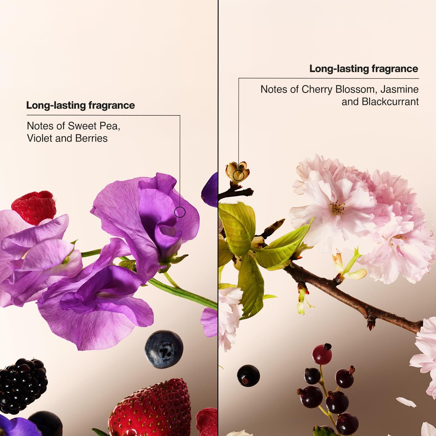 Suave Antiperspirant Deodorant for Women, Wild Cherry Blossom + Sweet Pea & Violet Variety 4-Pack – Anti-Staining Invisible Solid Sticks, Talc-Free, 2.6 Oz Ea - Image 7