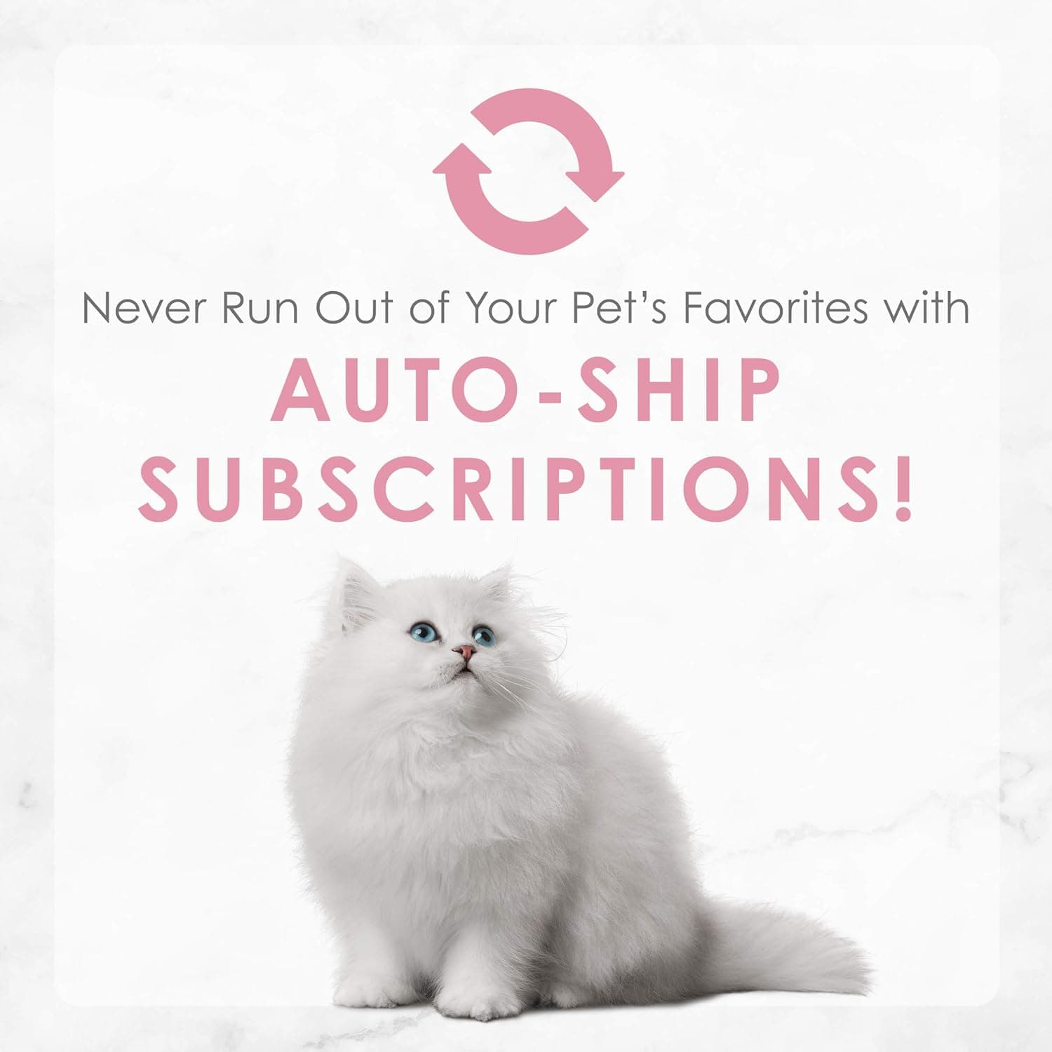 Purina Fancy Feast Kitten Tender Chicken Feast Wet Kitten Food Pate - (Pack of 24) 3 oz. Cans - Image 11