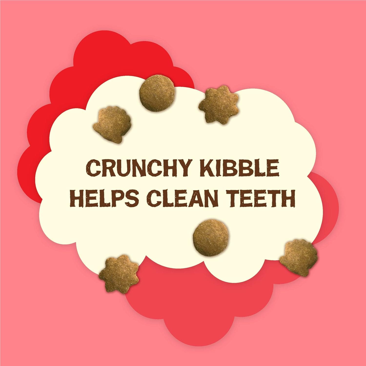 Purina Friskies Natural Cat Treats Party Mix Natural Yums With Real Salmon and Added Vitamins, Minerals and Nutrients - 20 Oz. Canister 1.25 Pound (Pack of 1) - Image 2