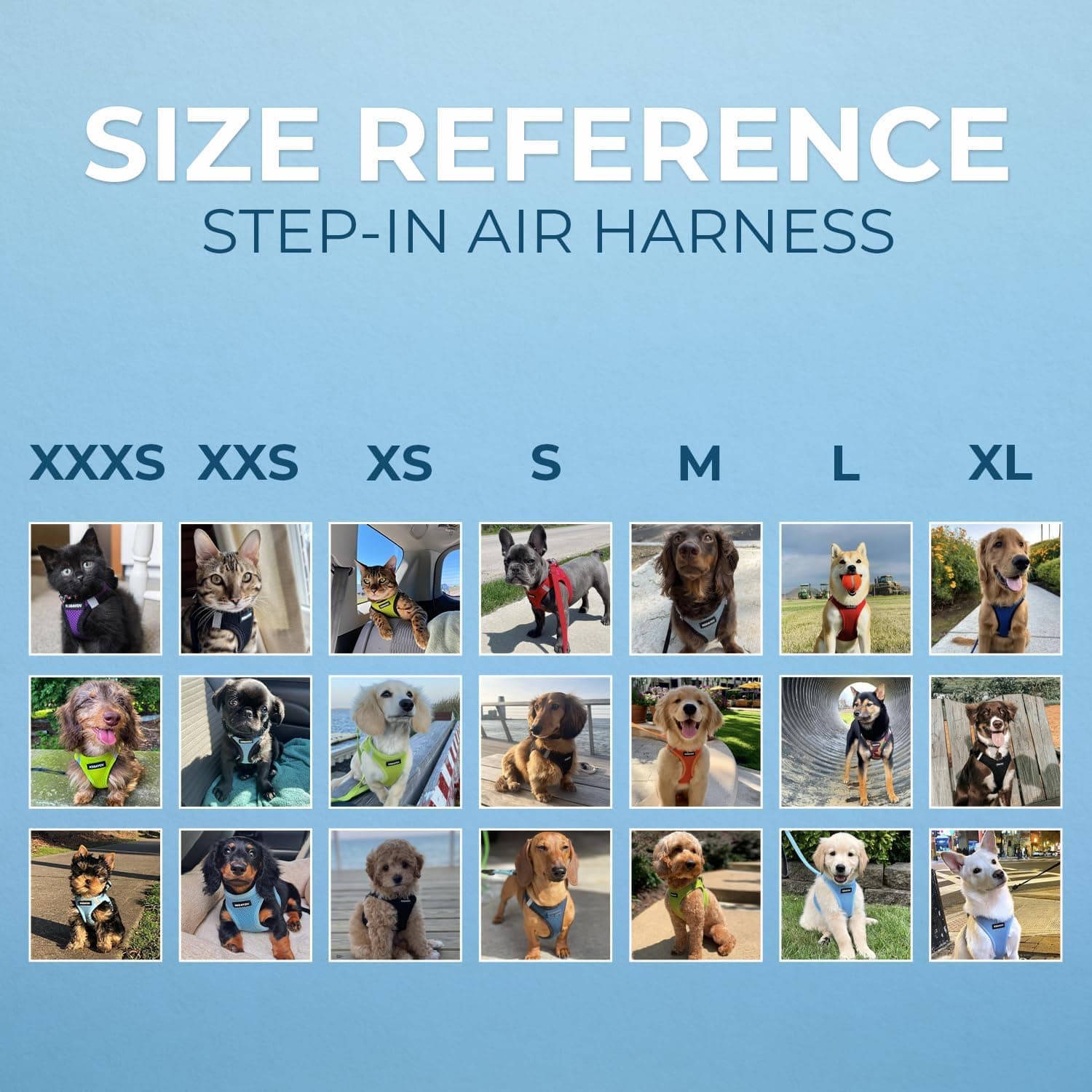 Best Pet Supplies Voyager Step-in Air Harness - All Weather Mesh, Reflective, No Pull Harness for Dogs, Cats - Secure with Hook & Loop Fastener, Buckle, Double D-Rings - Fuchsia, M M (Chest: 16 - 18") Harness (Fuchsia) - Image 7