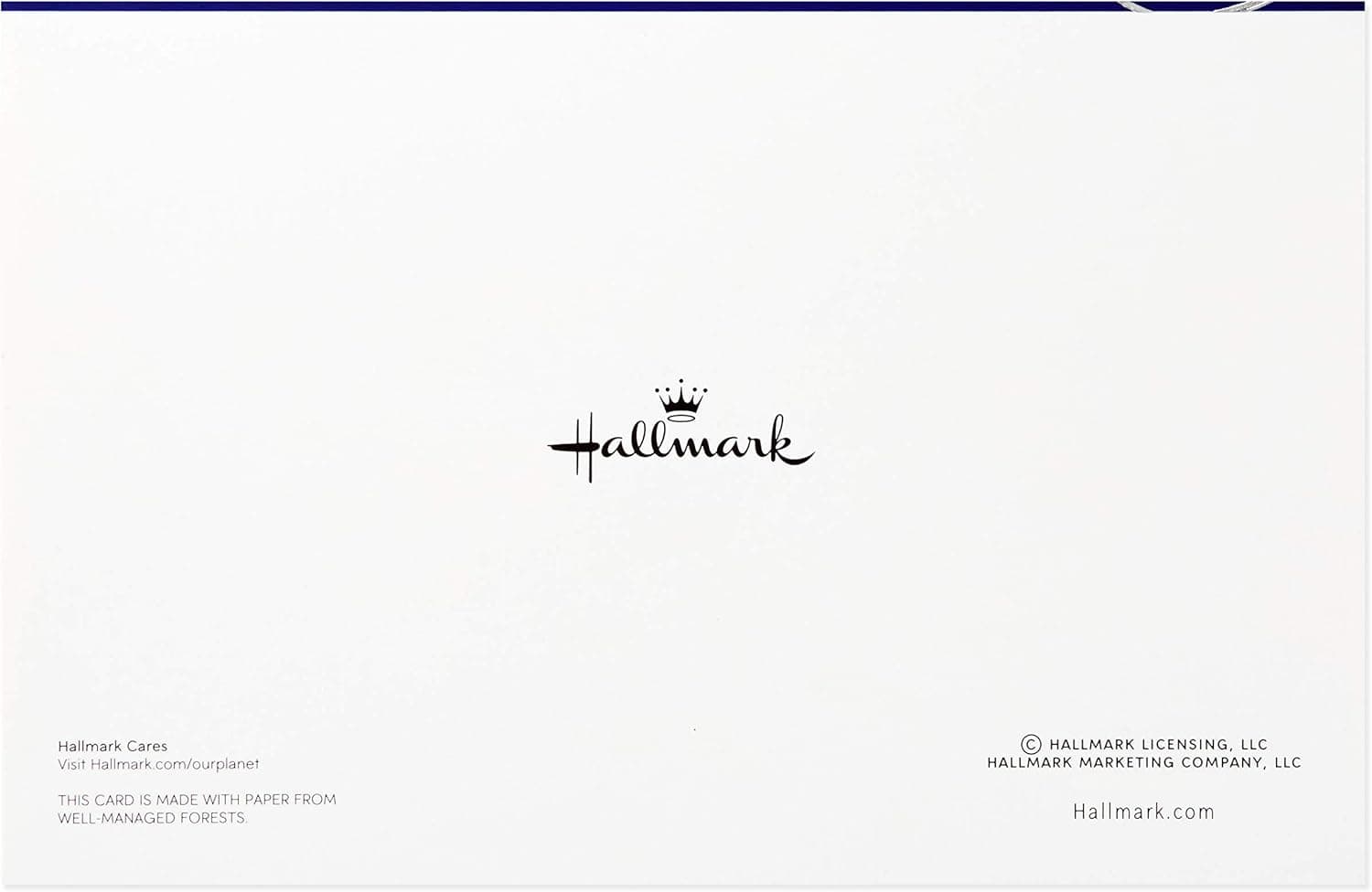 Tarjetas de Navidad Hallmark en Caja con Sobres, Felices Fiestas (40 Tarjetas Azules de Vacaciones) 40ct Tarjetas Felices Fiestas - Image 8