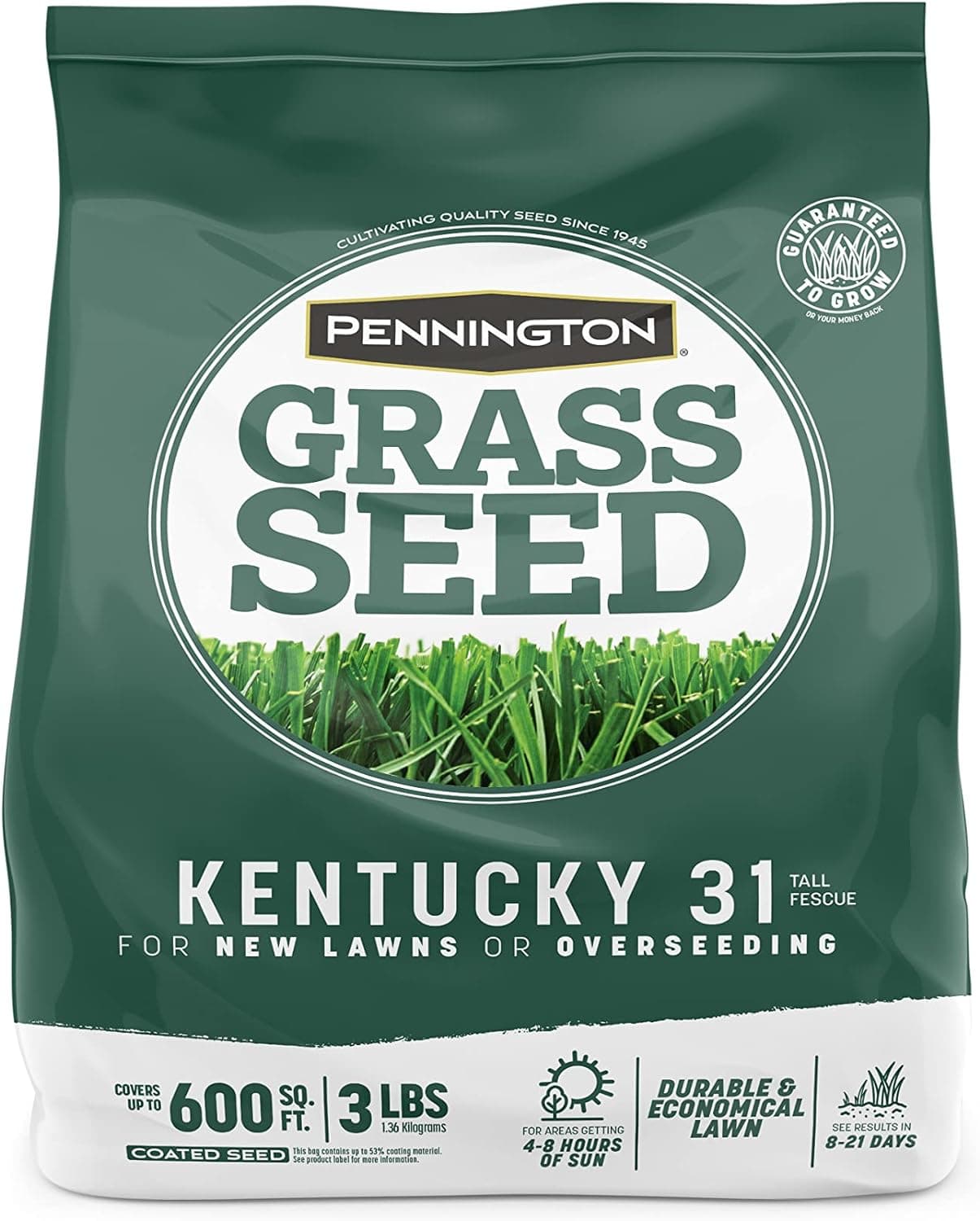 Pennington Kentucky 31 Tall Fescue Penkoted Grass Seed 3 lb - Image 2