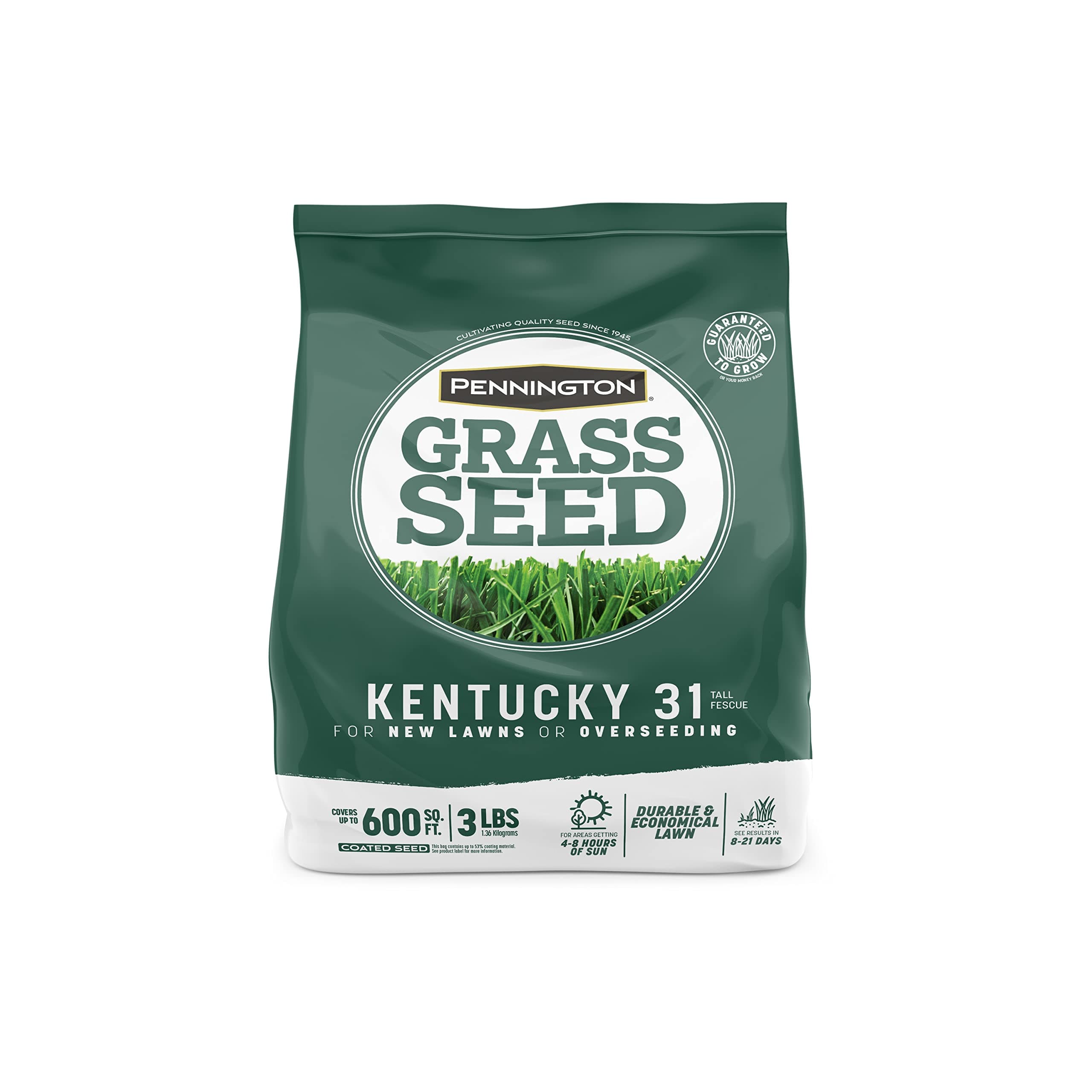 Pennington Kentucky 31 Tall Fescue Penkoted Grass Seed 3 lb