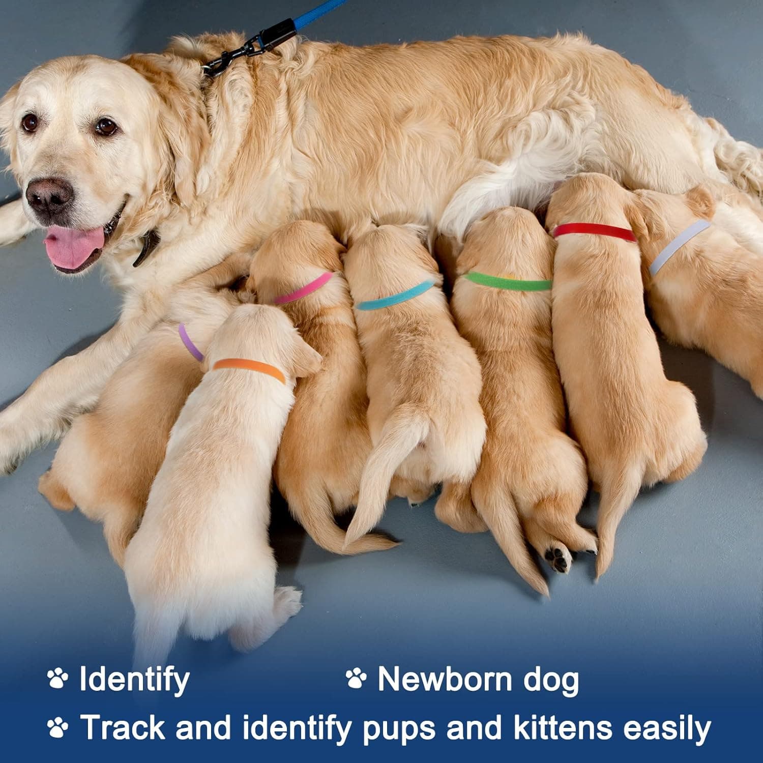 Whaline 20 Colors Puppy Whelping Collars Double-Sided Adjustable ID Collars Soft Bands for Newborn Pet Dog Cat, 13.8 Inches - Image 5