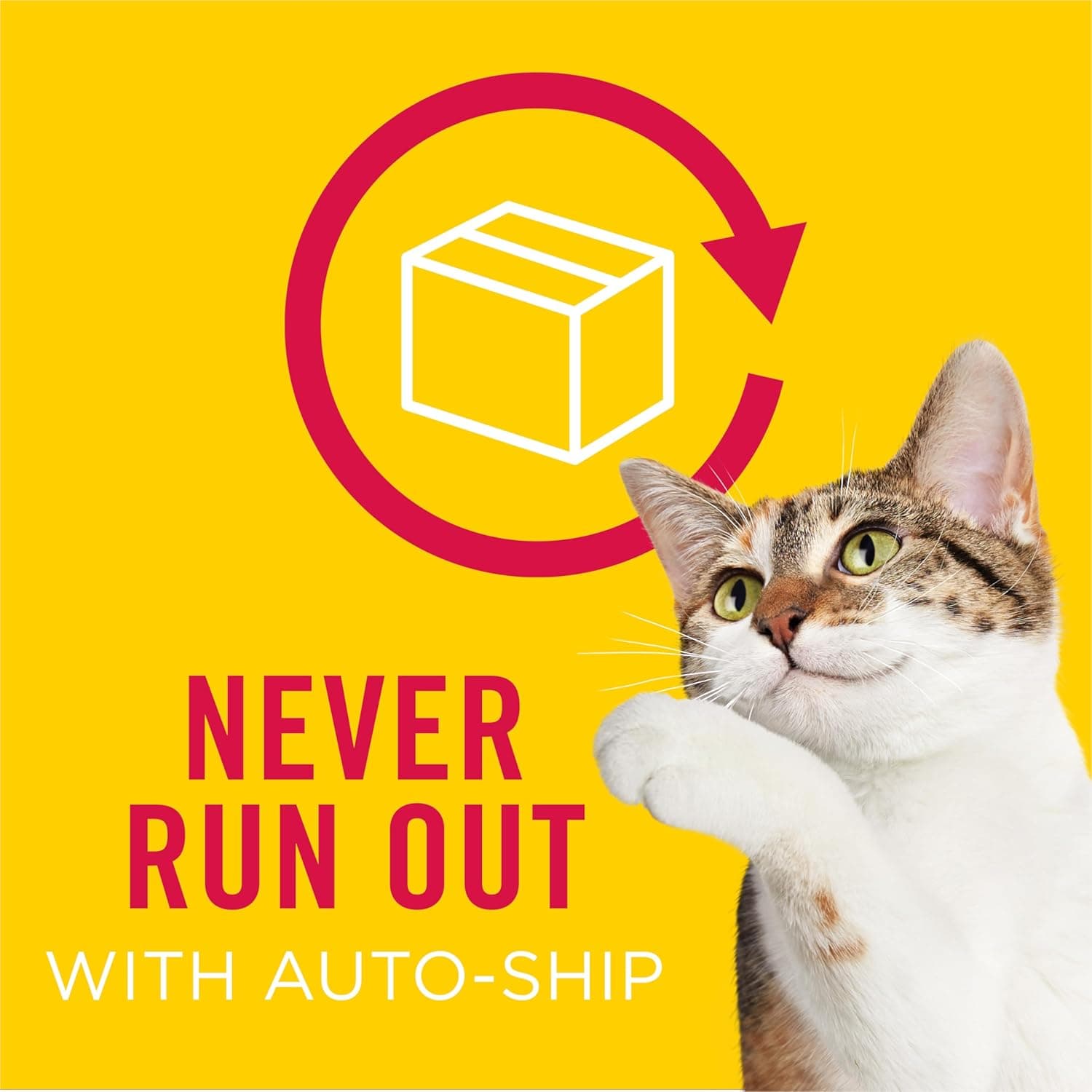 Purina Friskies Gravy Wet Cat Food Variety Pack, Surfin’ and Turfin’ Prime Filets Favorites - (Pack of 40) 5.5 oz. Cans Chicken, Ocean Whitefish & Tuna, Salmon & Beef, Chicken & Tuna 5.5 Ounce (Pack of 40) - Image 13