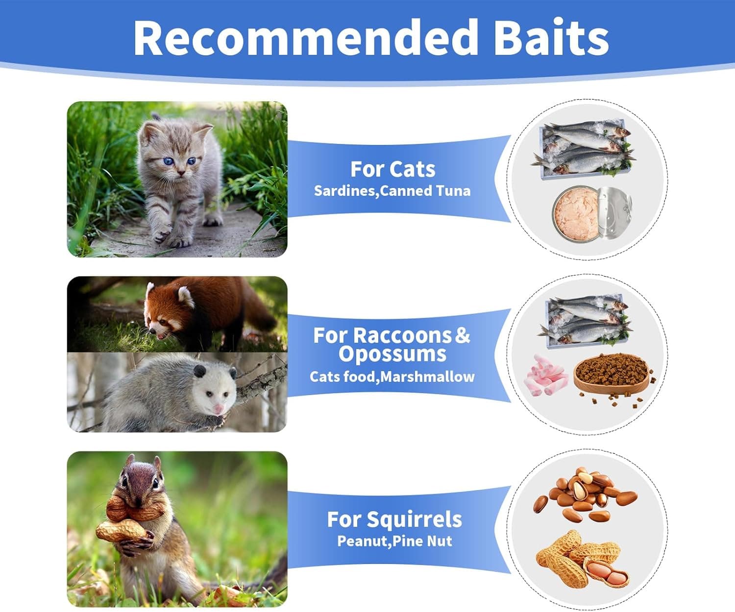 32” Humane Animal Trap, Live Animal Trap Cage for Stray Cats, Raccoons, Squirrels, Rabbits, Moles, Groundhogs, Armadillos up to 16.5 lbs, Galvanized Rustproof Live Animal Cage Trap - Image 5