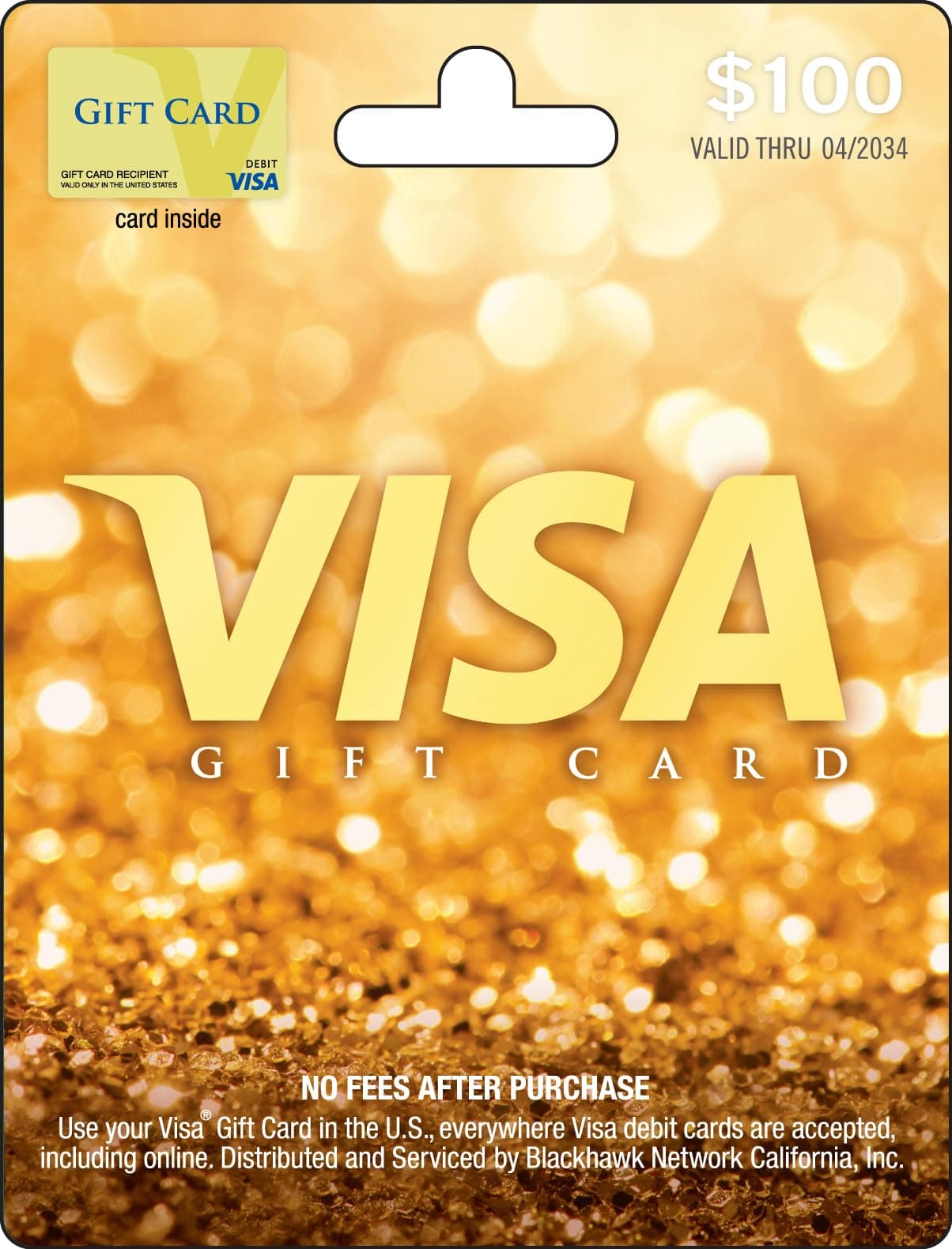 Visa Physical Gift Card $100 (plus $5.95 Purchase Fee)
