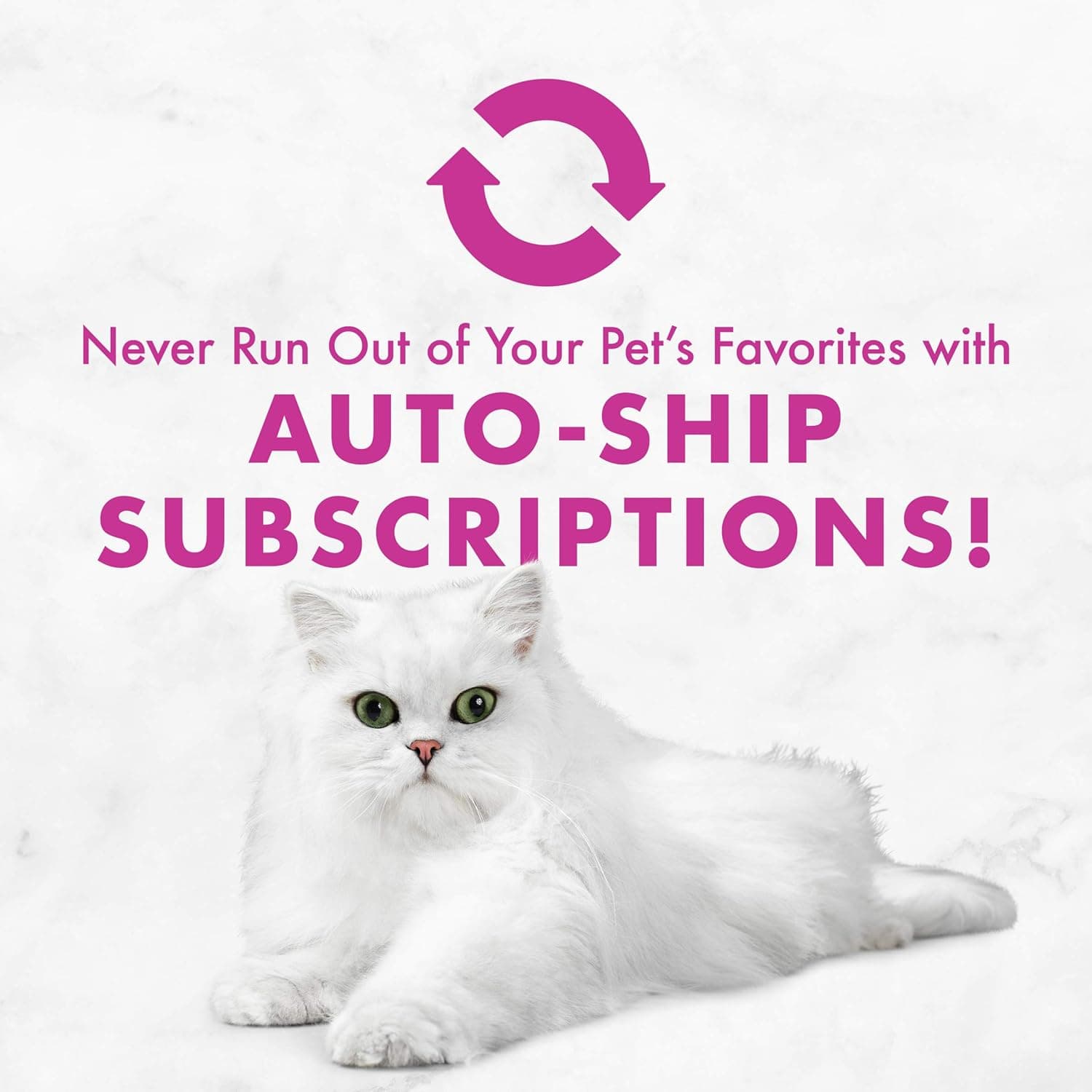 Fancy Feast Poultry and Beef Feast Classic Pate Collection Grain Free Wet Cat Food Variety Pack - (Pack of 30) 3 oz. Cans Poultry & Beef 3 Ounce (Pack of 30) - Image 11