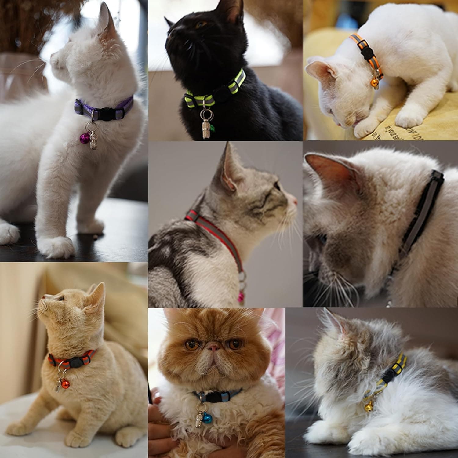 12 Pack Reflective-Breakaway Cat Collars with Bells,Safety Buckle Kitten Collar, with Name Tag, Adjustable,Ideal for Girl Cats Male Cats,Pet Supplies,Stuff,Accessories(12 Colors & 2 ID Tags) - Image 9