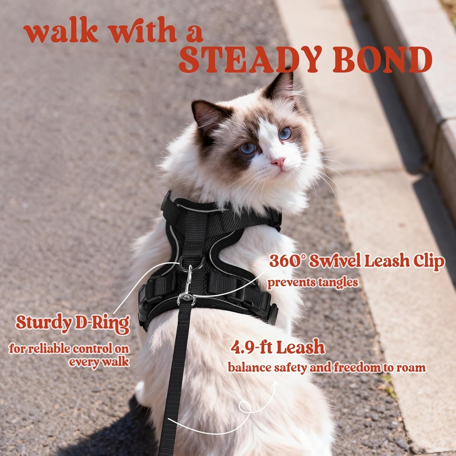 rabbitgoo Cat Harness and Leash for Walking, Escape Proof Soft Adjustable Vest Harnesses for Cats, Easy Control Breathable Reflective Strips Jacket, Black, XS XS Black - Image 5