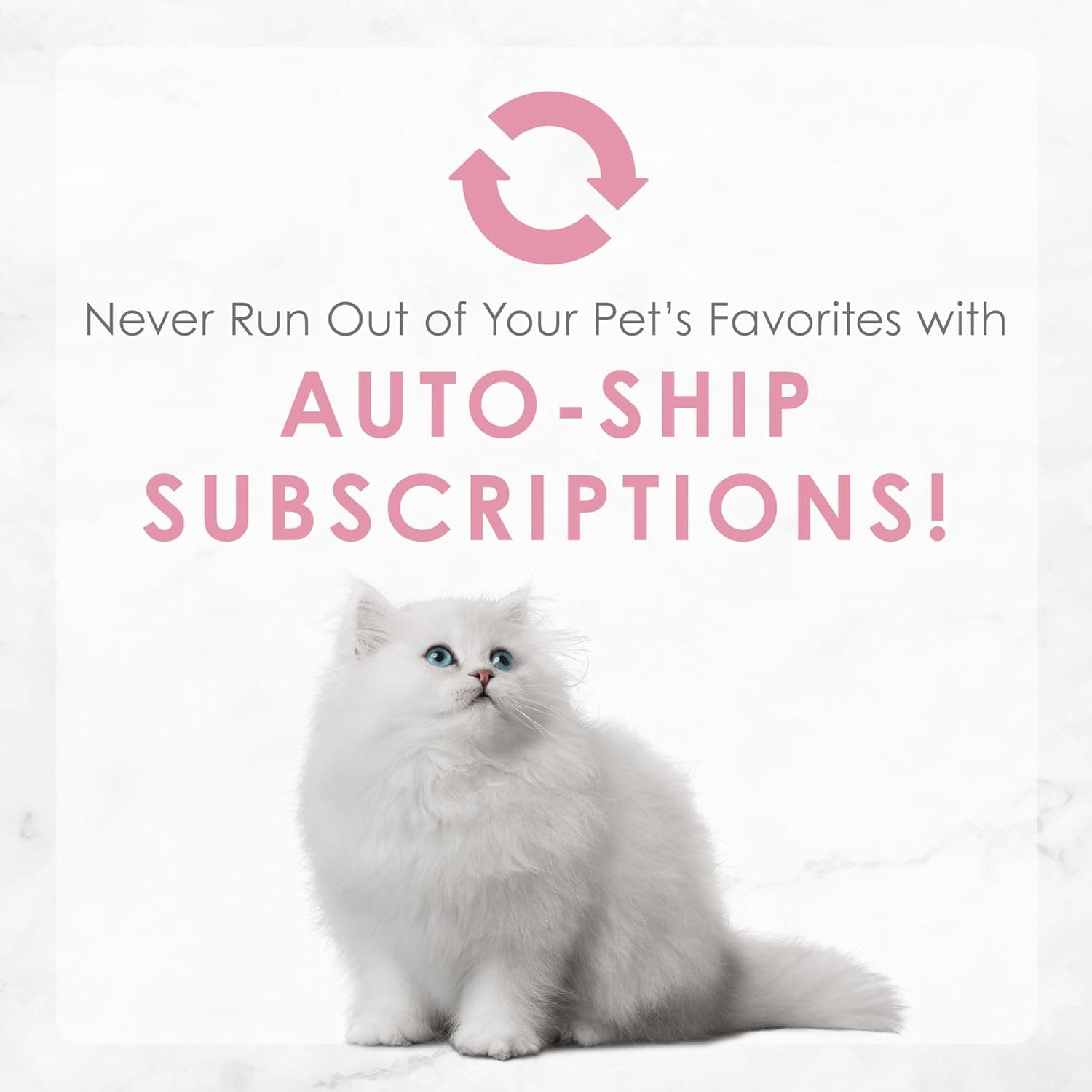 Purina Fancy Feast Tender Ocean Whitefish, Turkey, Chicken and Salmon Feasts Wet Kitten Food Variety Pack - (Pack of 24) 3 oz. Boxes - Image 13