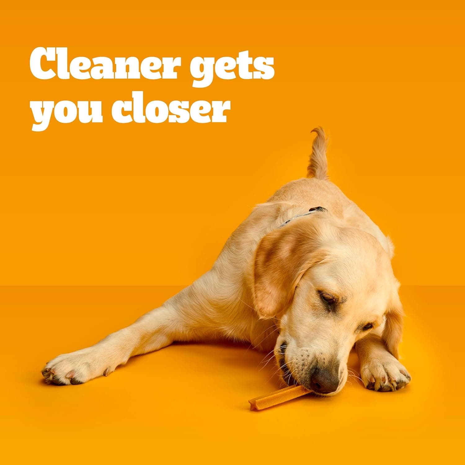 Pedigree Dentastix Large Breed Dog Treats, Original, Beef & Fresh Flavor, 2.73 lb. Variety Pack (51 Treats) Variety Pack 51 Count (Pack of 1) - Image 7