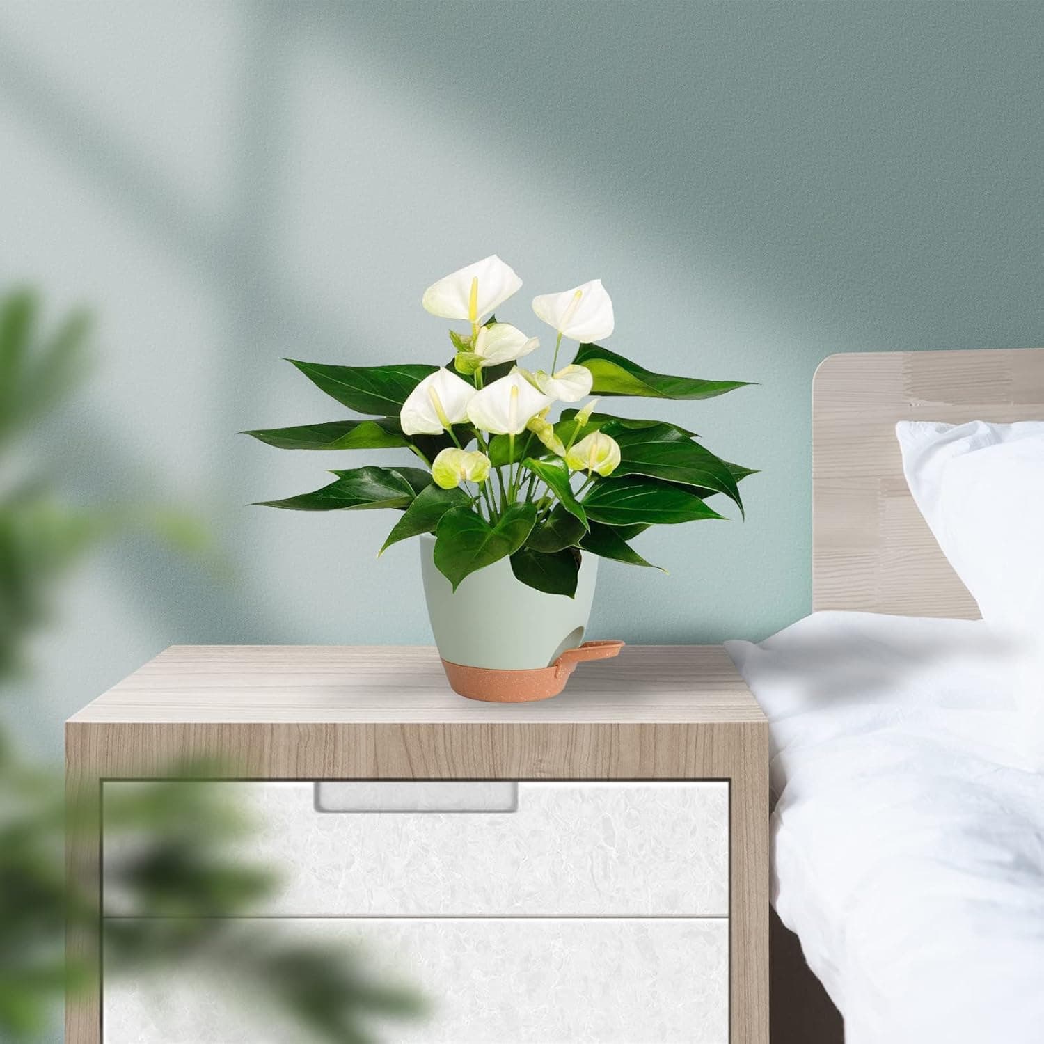 Plant Pots Indoor 7/6.5/6/5.5/5 Inch Self Watering Planters for Indoor Plants with Drainage Hole, Plastic Flower Pots for Succulents, African Violet (Green) Green-5pack 7/6.5/6/5.5/5 inch - Image 8