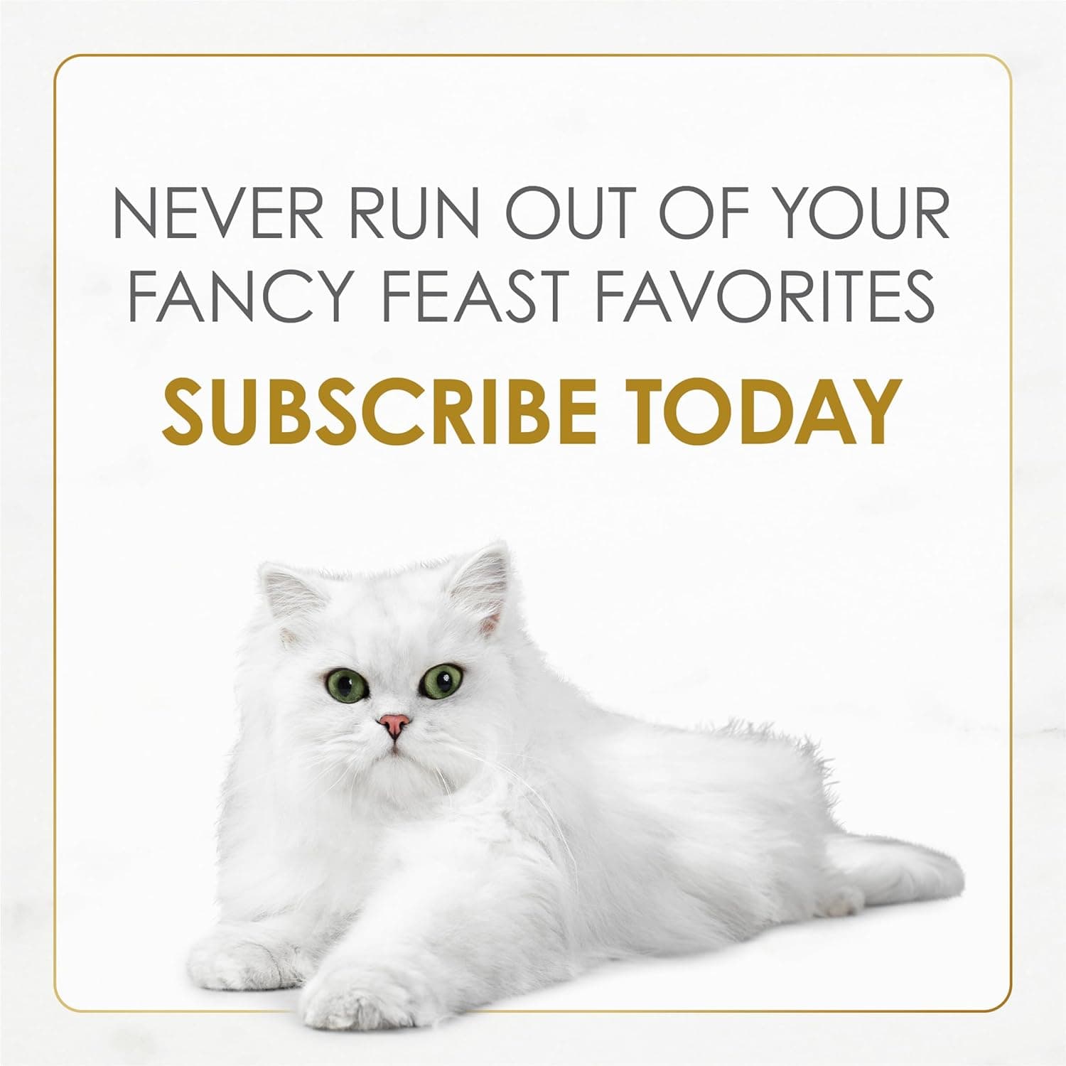 Fancy Feast Purina Petites Kitten Tender Pate Gourmet Wet Kitten Food Variety Pack - 12 ct. Tub - Image 12