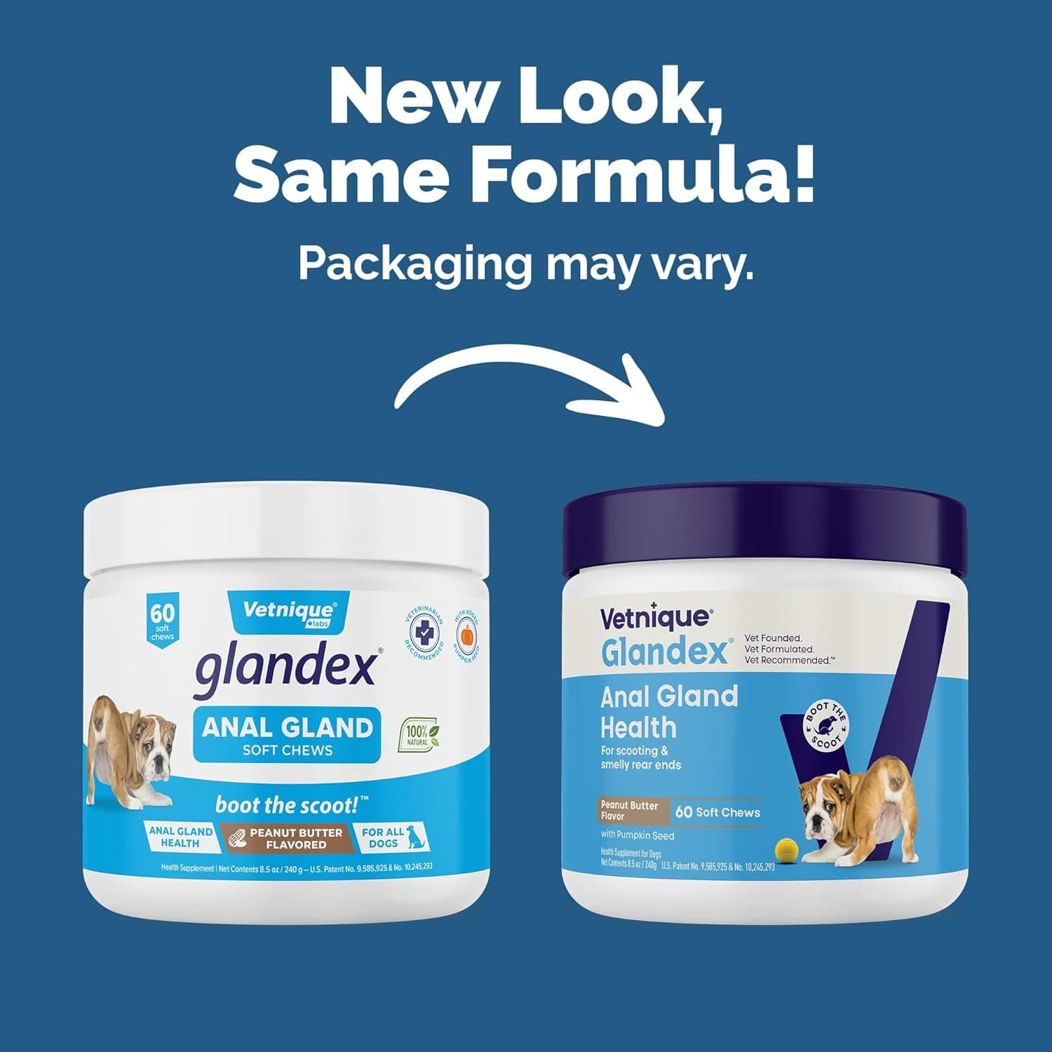 Vetnique Glandex Anal Gland Soft Chew Treats na may Kalabasa para sa mga Enzima ng Tiyan ng Aso, Probiotics Fiber Supplement para sa mga Aso Bo - Image 3