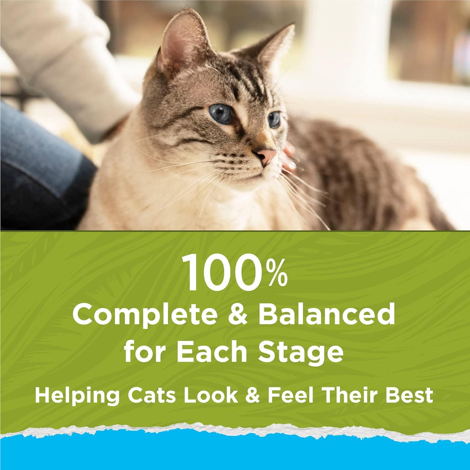 Purina Cat Chow Hairball, Healthy Weight, Indoor, Natural Dry Cat Food, Naturals Indoor - 13 lb. Bag Dry Food 13 Pound (Pack of 1) - Image 10