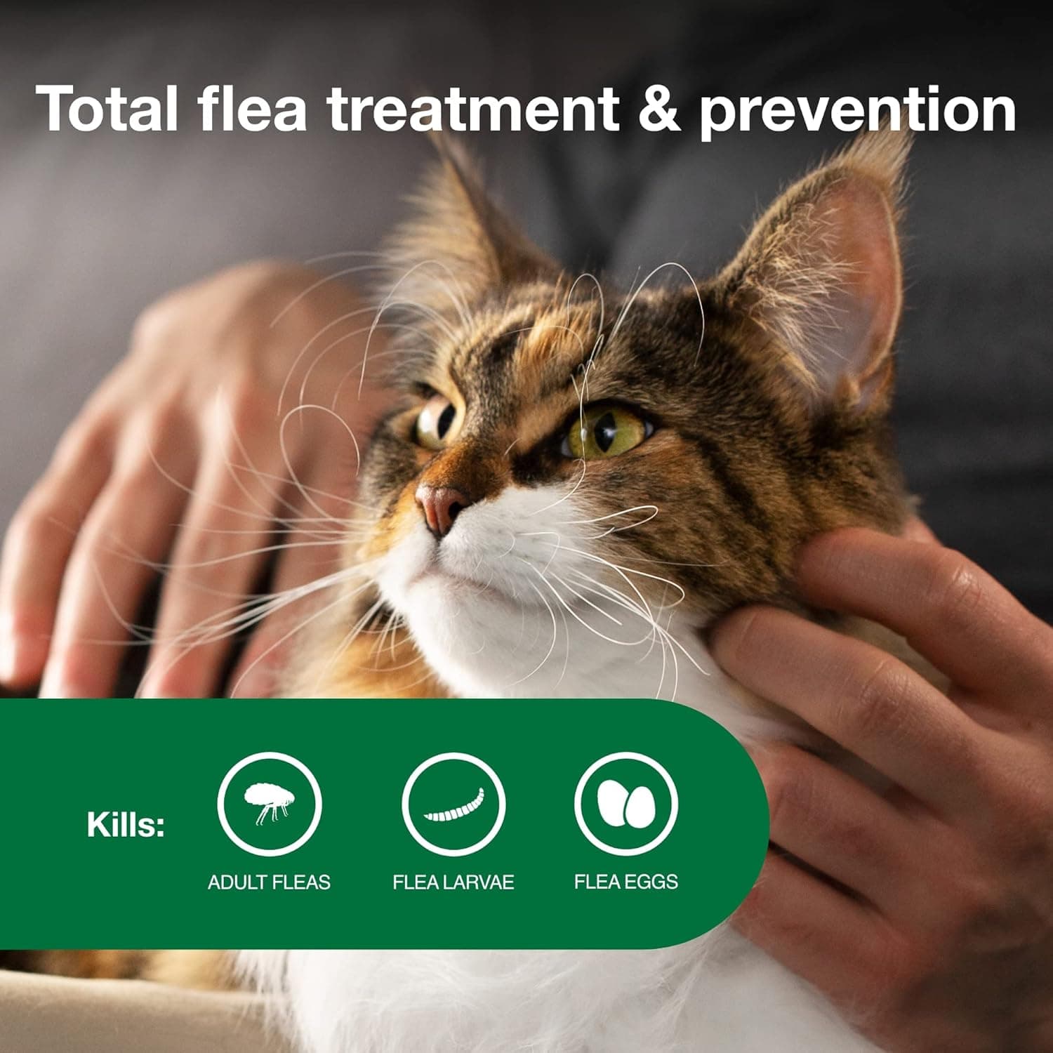 Advantage II Large Cat Vet-Recommended Flea Treatment & Prevention | Cats Over 9 lbs. | 2-Month Supply 2-Pack - Image 3