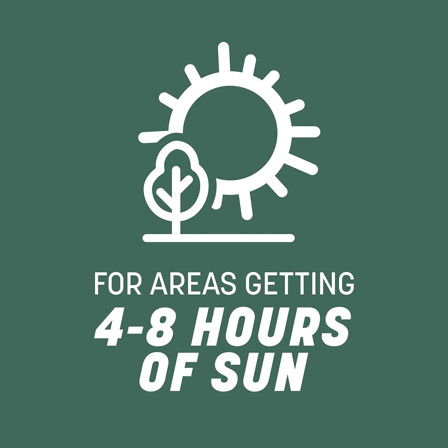 Pennington Kentucky 31 Tall Fescue Penkoted Grass Seed 3 lb - Image 7