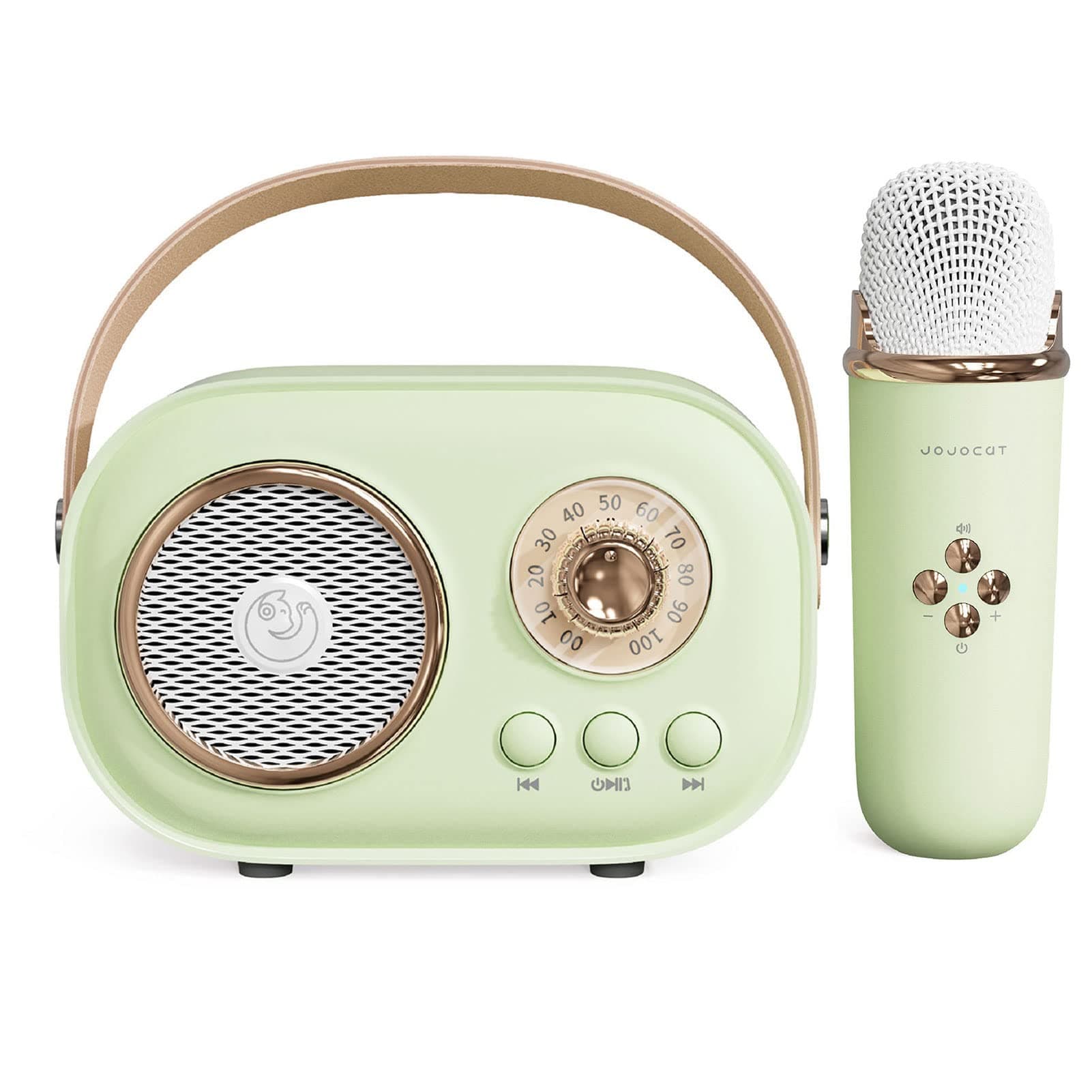 Mini Karaoke Machine,Karaoke Machine for Kids and Adults,Cute Karaoke with Microphone Set,Portable Bluetooth Speaker with Microphone,Retro Handheld Style for Family Party Meeting Singing (Green)