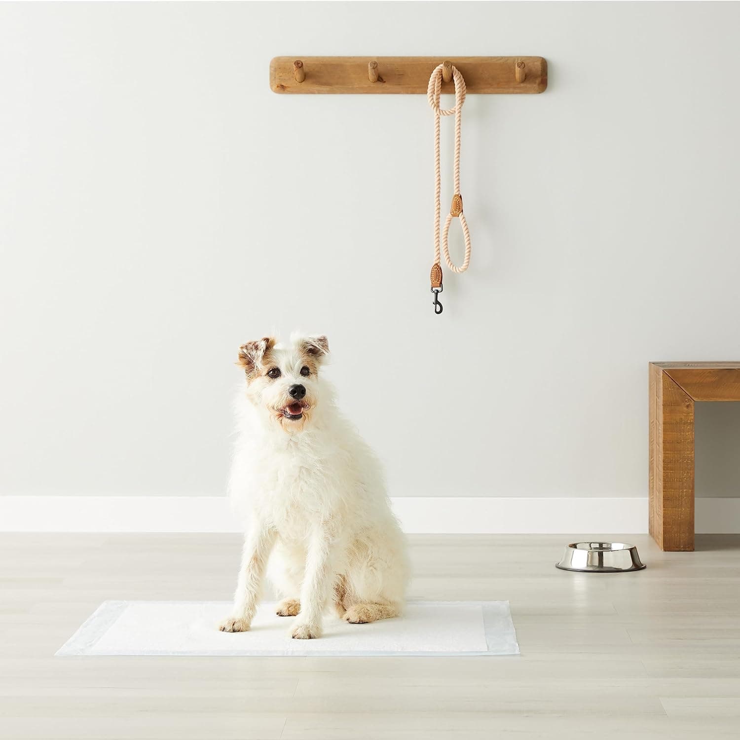 Amazon Basics Dog and Puppy Pee Pads with 5-Layer Leak-Proof Design and Quick-Dry Surface for Potty Training, Heavy Duty Absorbency, X-Large, 28 x 34 Inch - Pack of 25, Blue & White 28 x 34 Inches 25.0 - Image 6