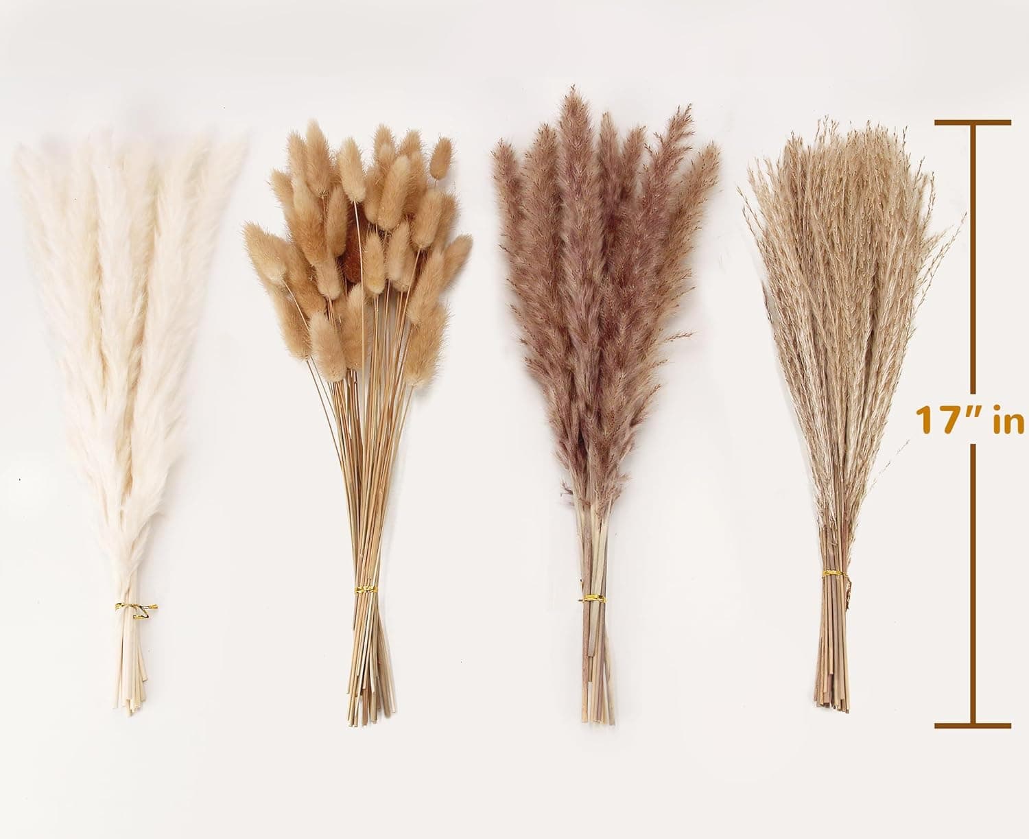 Pinatuyong Pampas Grass Decor, 100 Stems Pampas Grass na May Kasamang Bunny Tails na Pinatuyong Bulaklak, Reed Grass Bouquet para sa Kasal Boho Bulaklak Home Table Decor, Rustic Farmhouse Party (17", Puti at Kayumanggi) 100PCS - Image 3