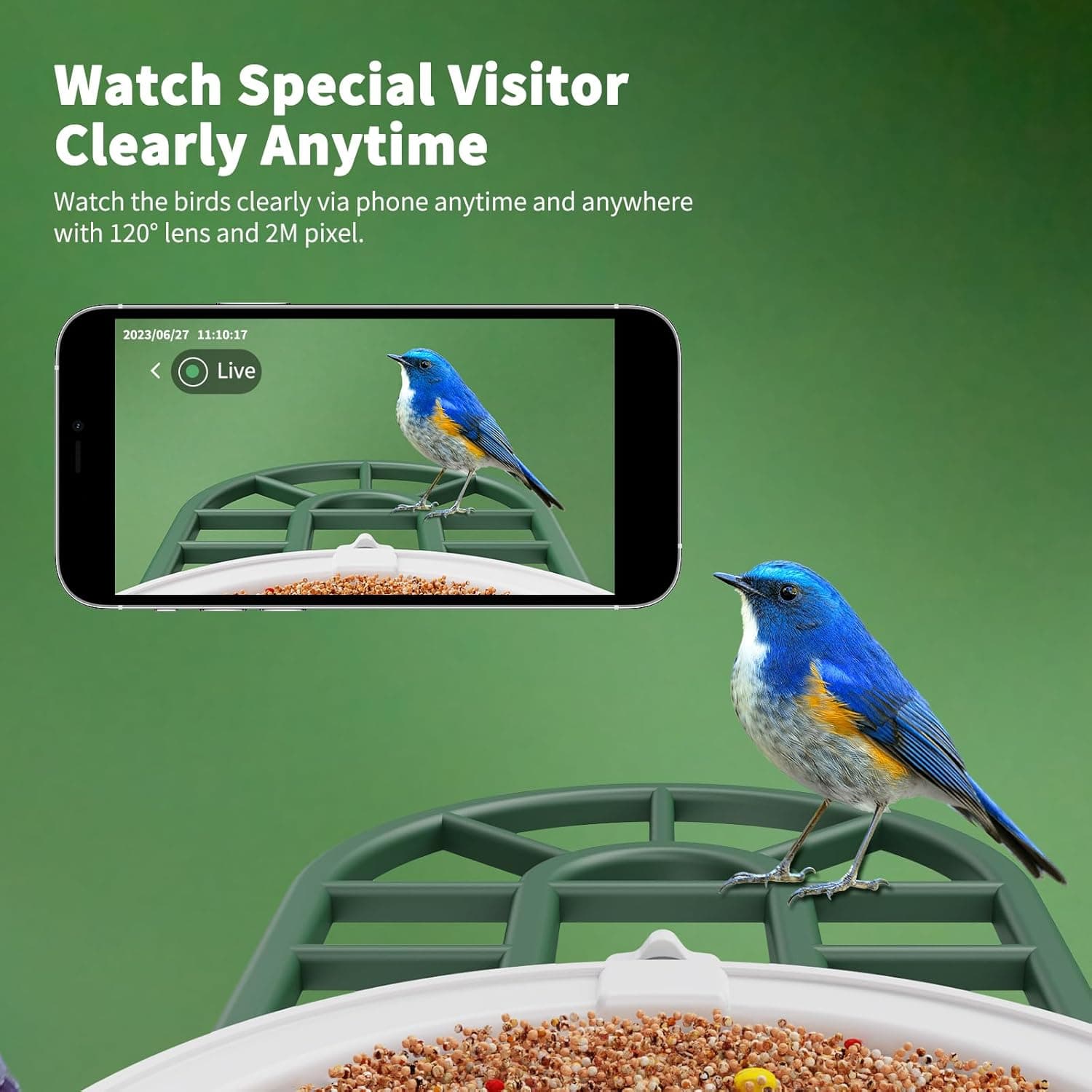 Bird Feeder with Camera with AI Identify Birds Species Solar Panel, Smart Bird House with Cam, 2K Live View, Instant Arrival Alerts Green - Image 6