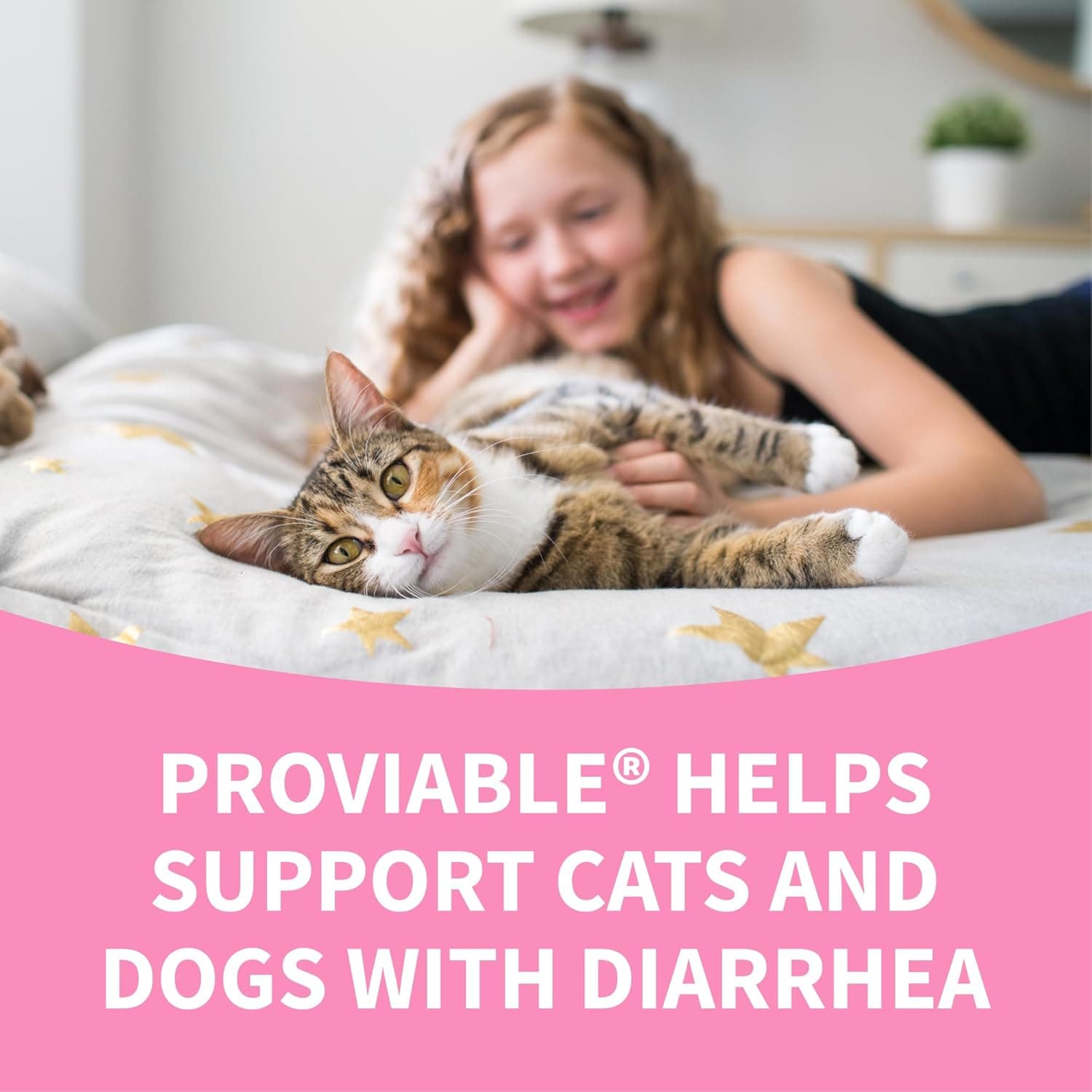 Nutramax Proviable Probiotics for Dogs and Cats, Daily Digestive Health Supplement with Multiple Strains of Bacteria, Cat and Dog Probiotics Plus Prebiotics, 30 Capsules 30 Count - Image 10