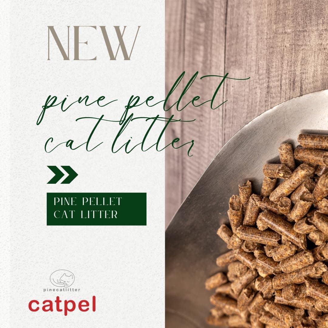 Premium Pine Pellets Cat Litter, 100% All Natural Pellet Kitty Litter, Non Clumping Non Tracking Low Dust Litter Meant for Use with Sifting Litter Box (11 lb) - Image 3