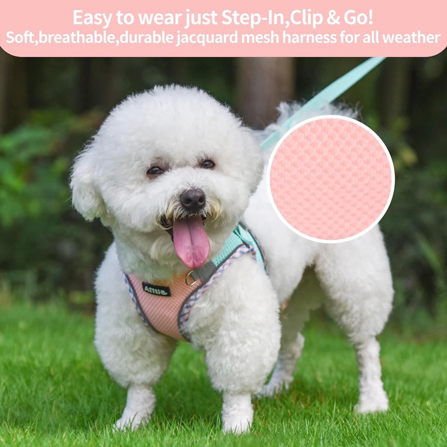 AIITLE Tiny Dog Harness - Lightweight Mesh Step-in Vest for Puppy, Reflective & Escape-Proof Design with High-Stick Magic Tape - Outdoor Use for Chihuahua, Maltese, Shih Tzu(Turquoise-Pink, XXXS) - Image 2