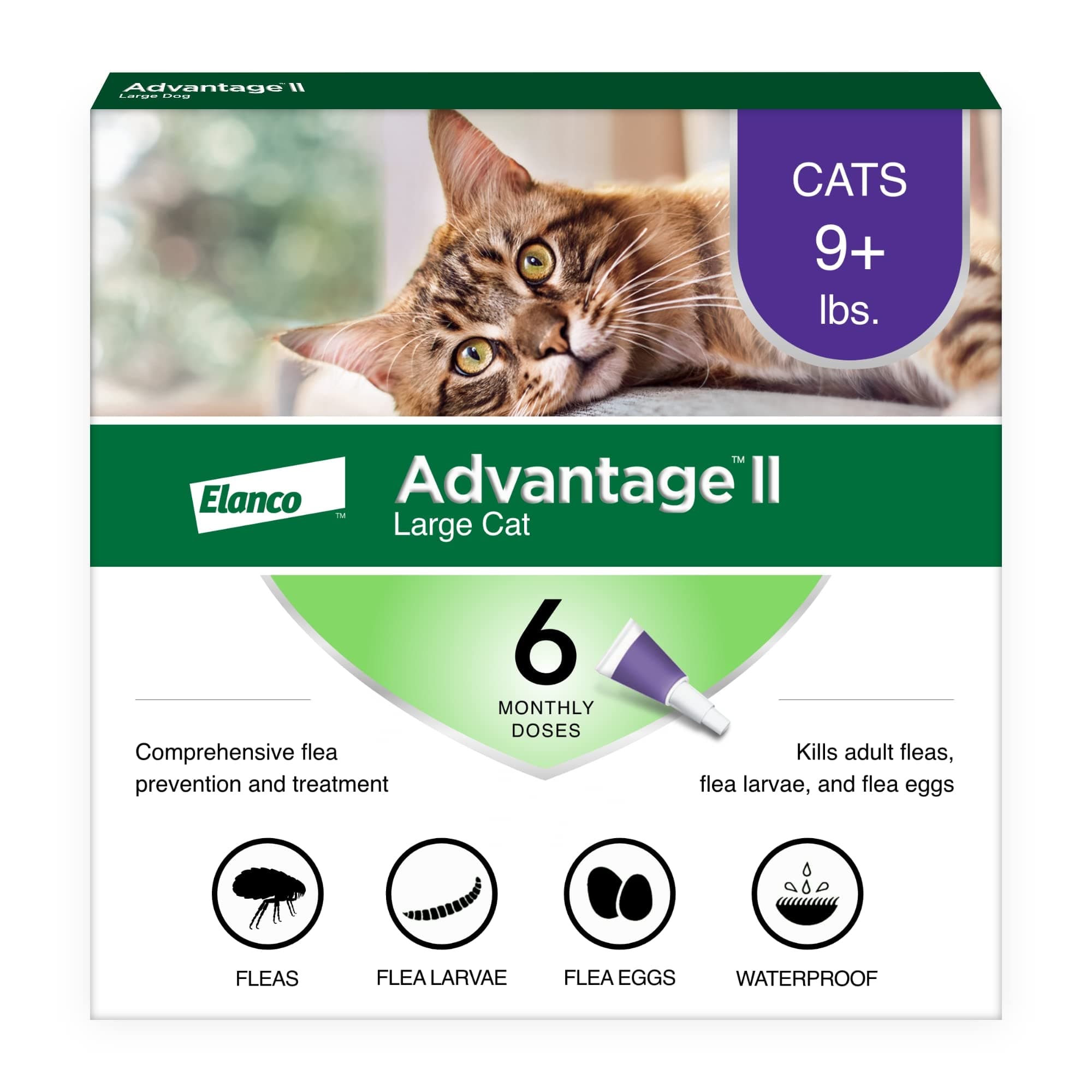 Advantage II Large Cat Vet-Recommended Flea Treatment & Prevention | Cats Over 9 lbs. | 6-Month Supply 6-Pack