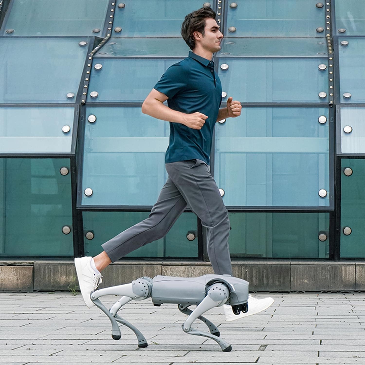 Unitree Go2 Robot Dog Quadruped Robotics for Adults Embodied AI (Go2 Pro) - Image 6